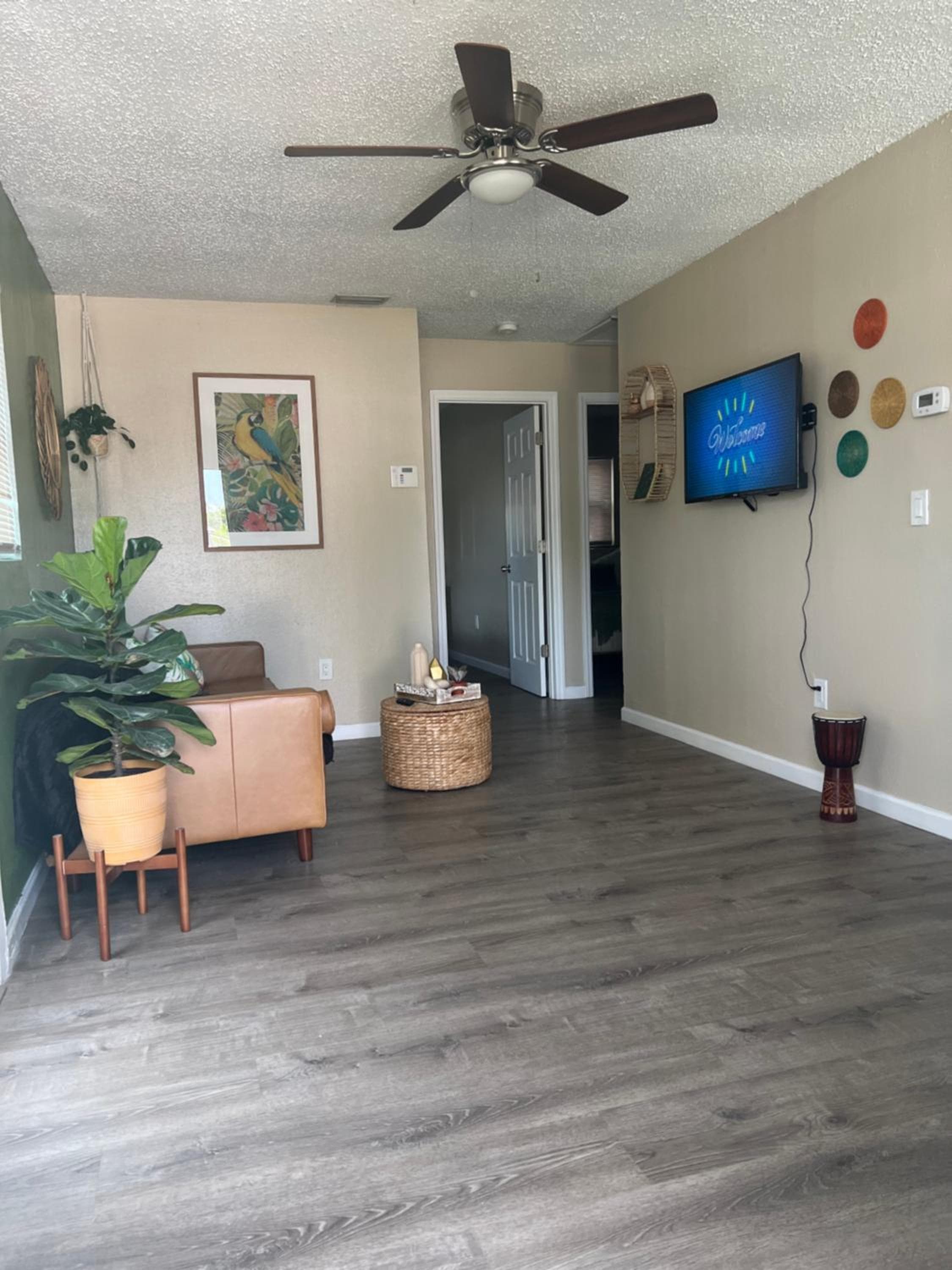 Tropical Casita in Tampa near airport and Raymond James stadium — 5