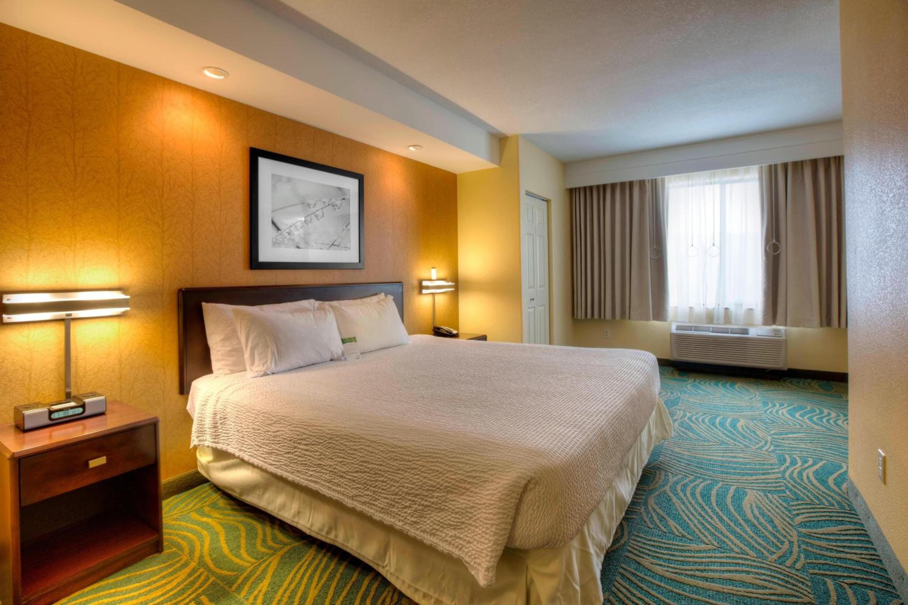 SpringHill Suites by Marriott - Tampa Brandon — 5