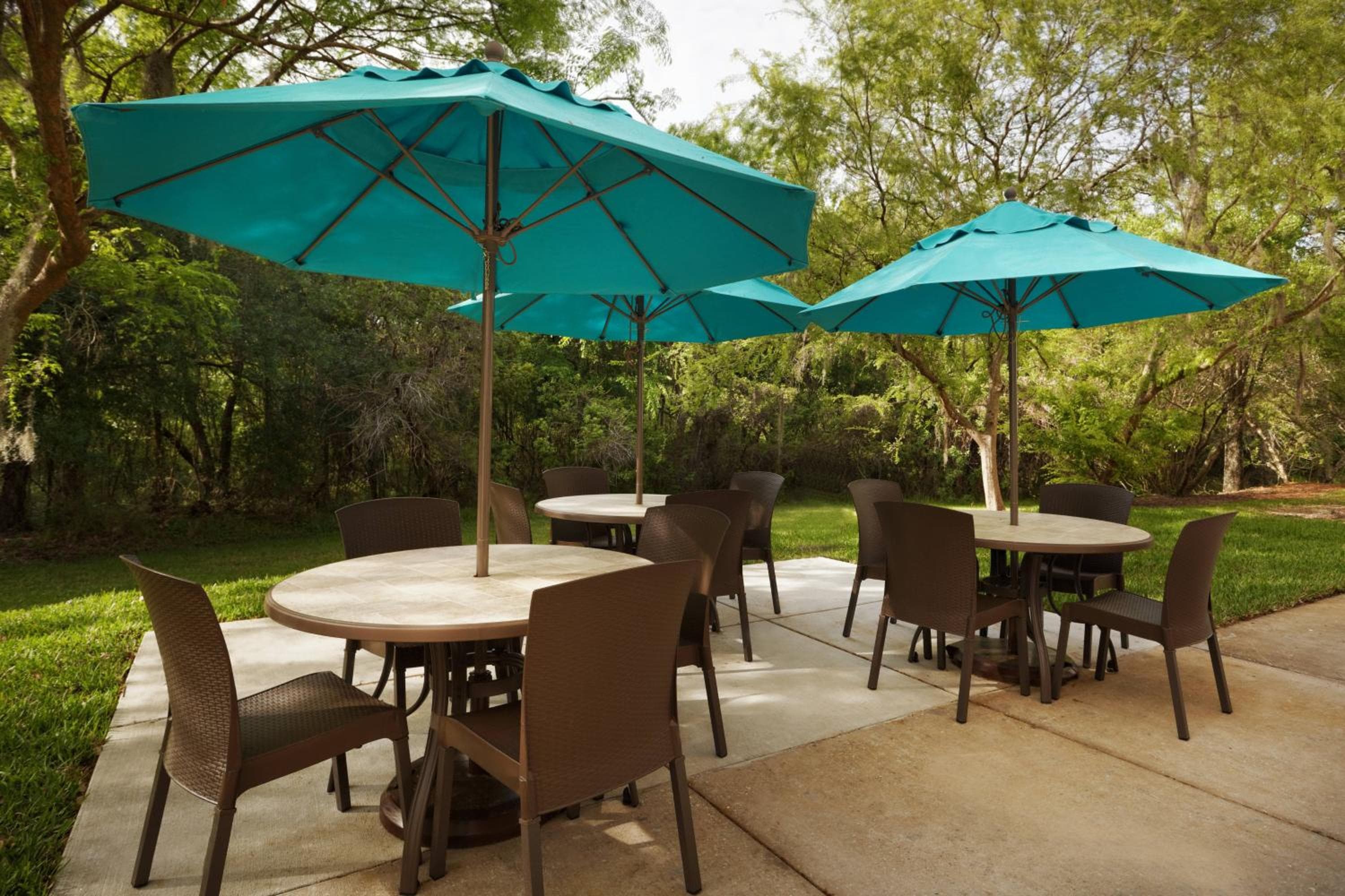 TownePlace Suites Tampa Norte I-75 Fletcher — 17