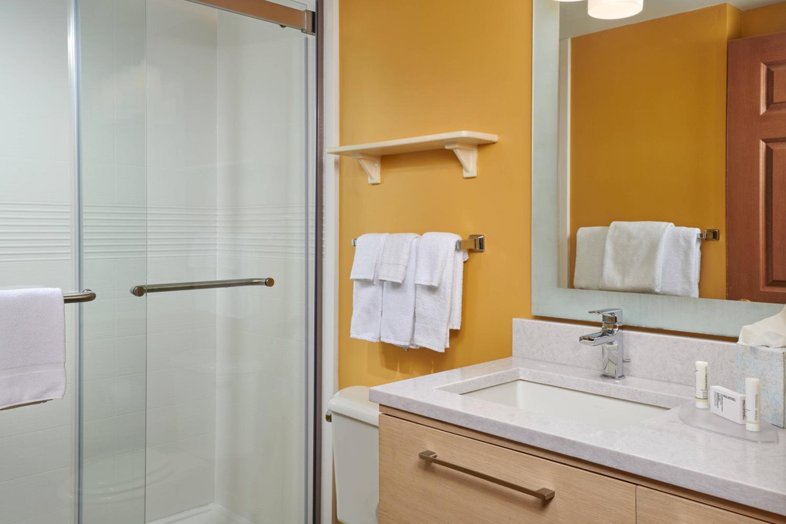 TownePlace Suites Tampa Norte I-75 Fletcher — 28