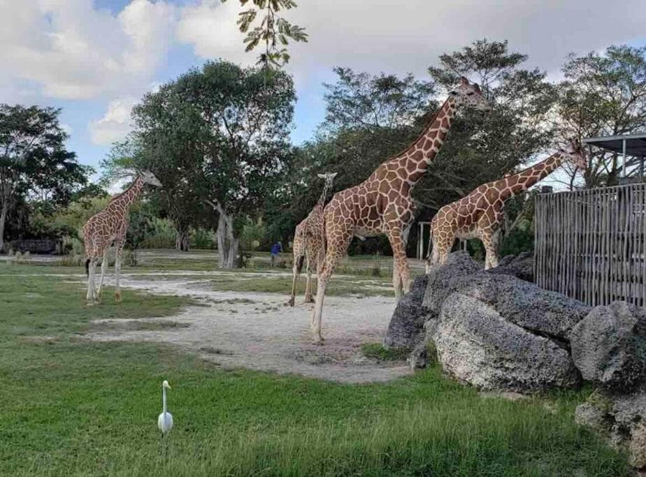 Erstaunliches & gemütliches Duplex in der Nähe des Zoo Miami! — 11