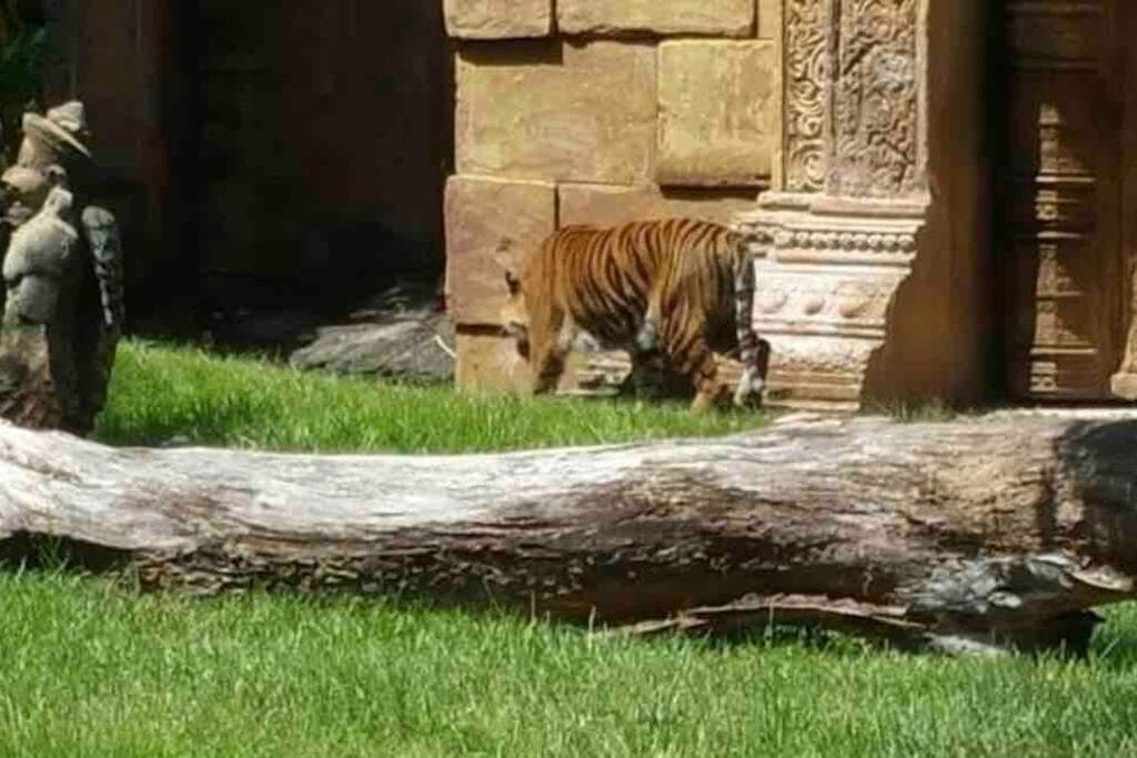 Erstaunliches & gemütliches Duplex in der Nähe des Zoo Miami! — 10