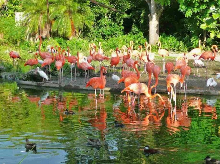 Erstaunliches & gemütliches Duplex in der Nähe des Zoo Miami! — 6
