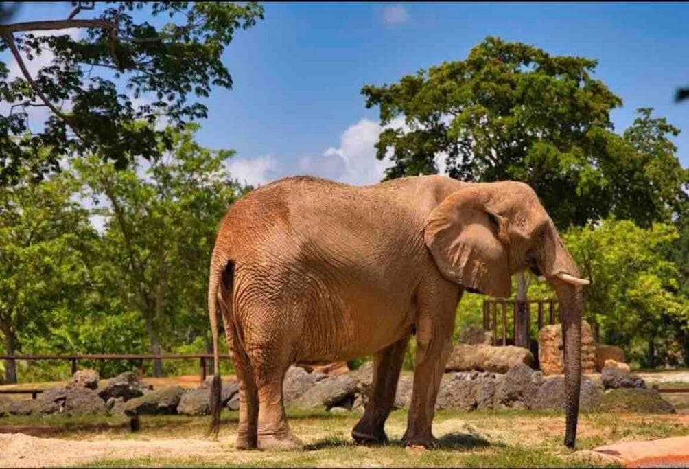Erstaunliches & gemütliches Duplex in der Nähe des Zoo Miami! — 8