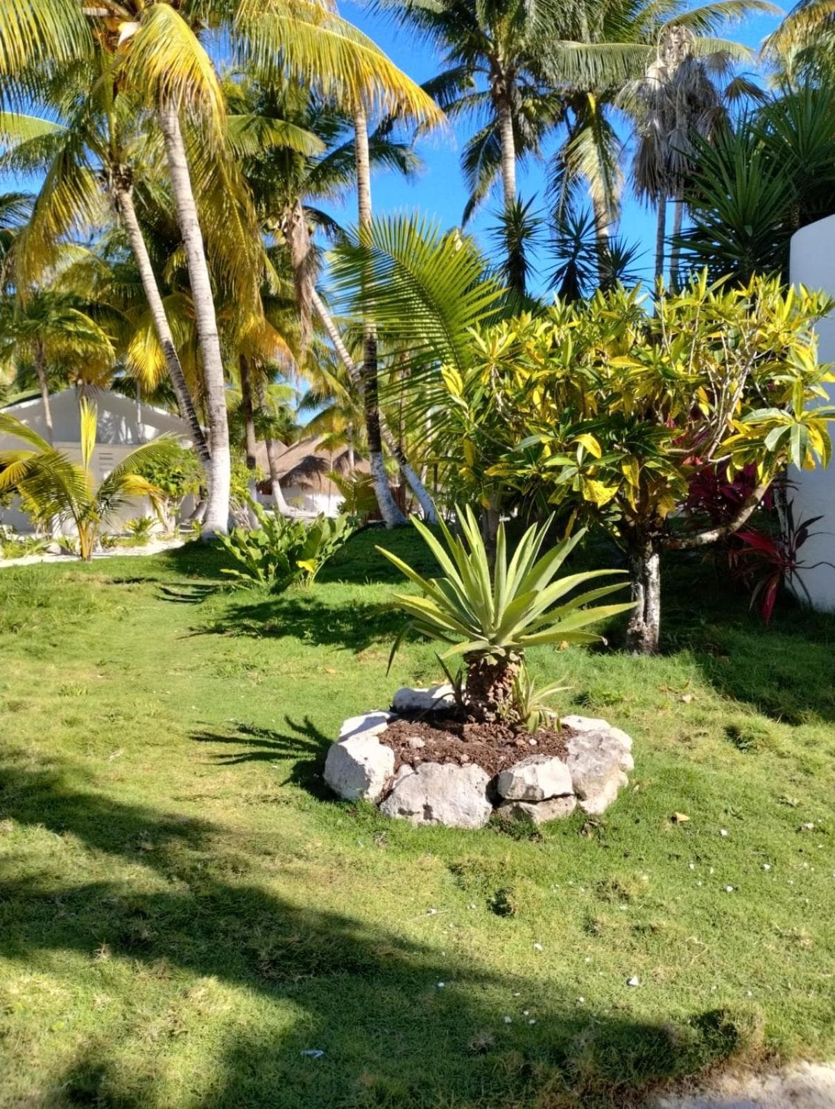Alito Tulum Hotel — 24
