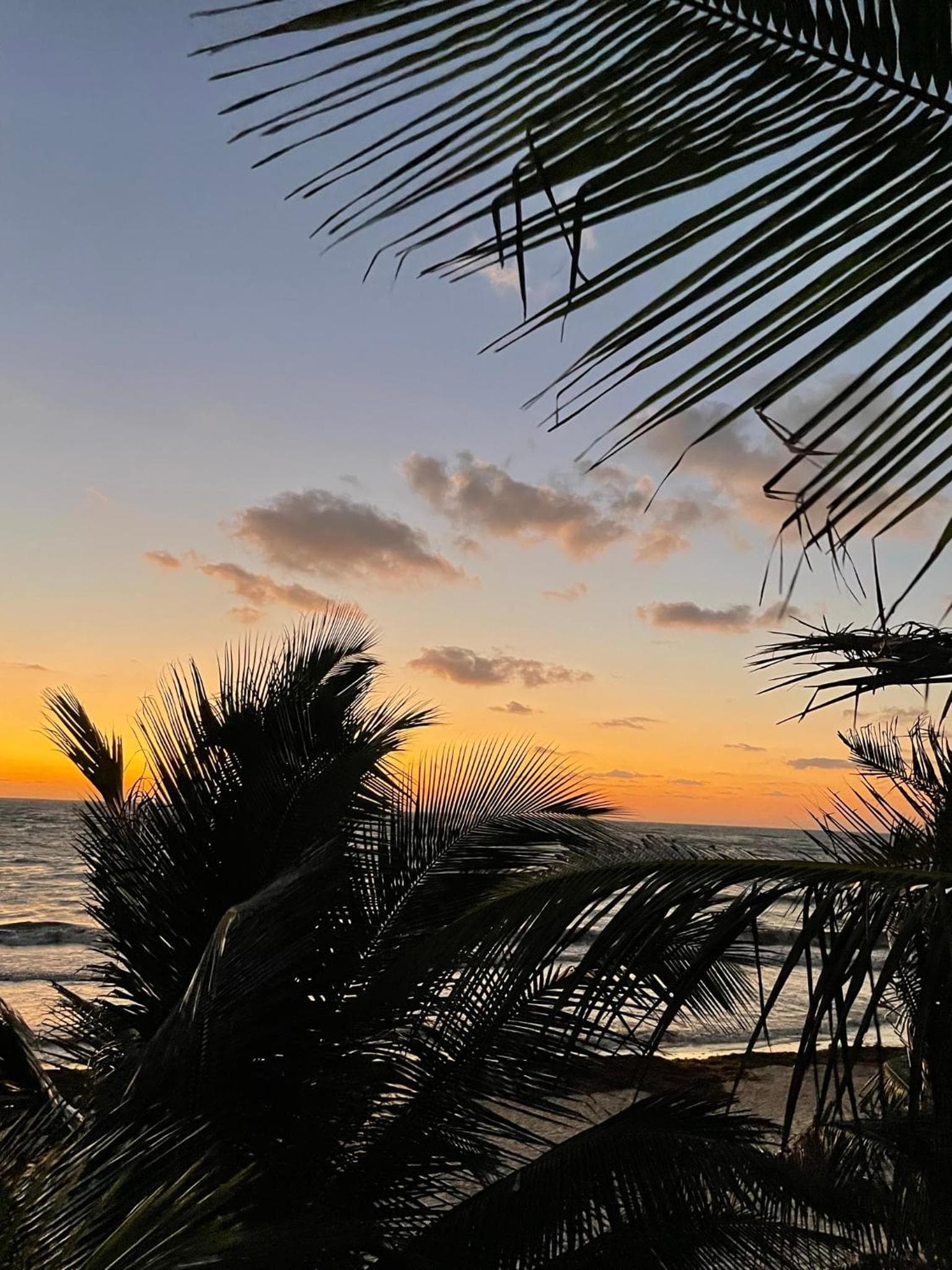 Chavez Eco Beach Camping and Cabañas — 13