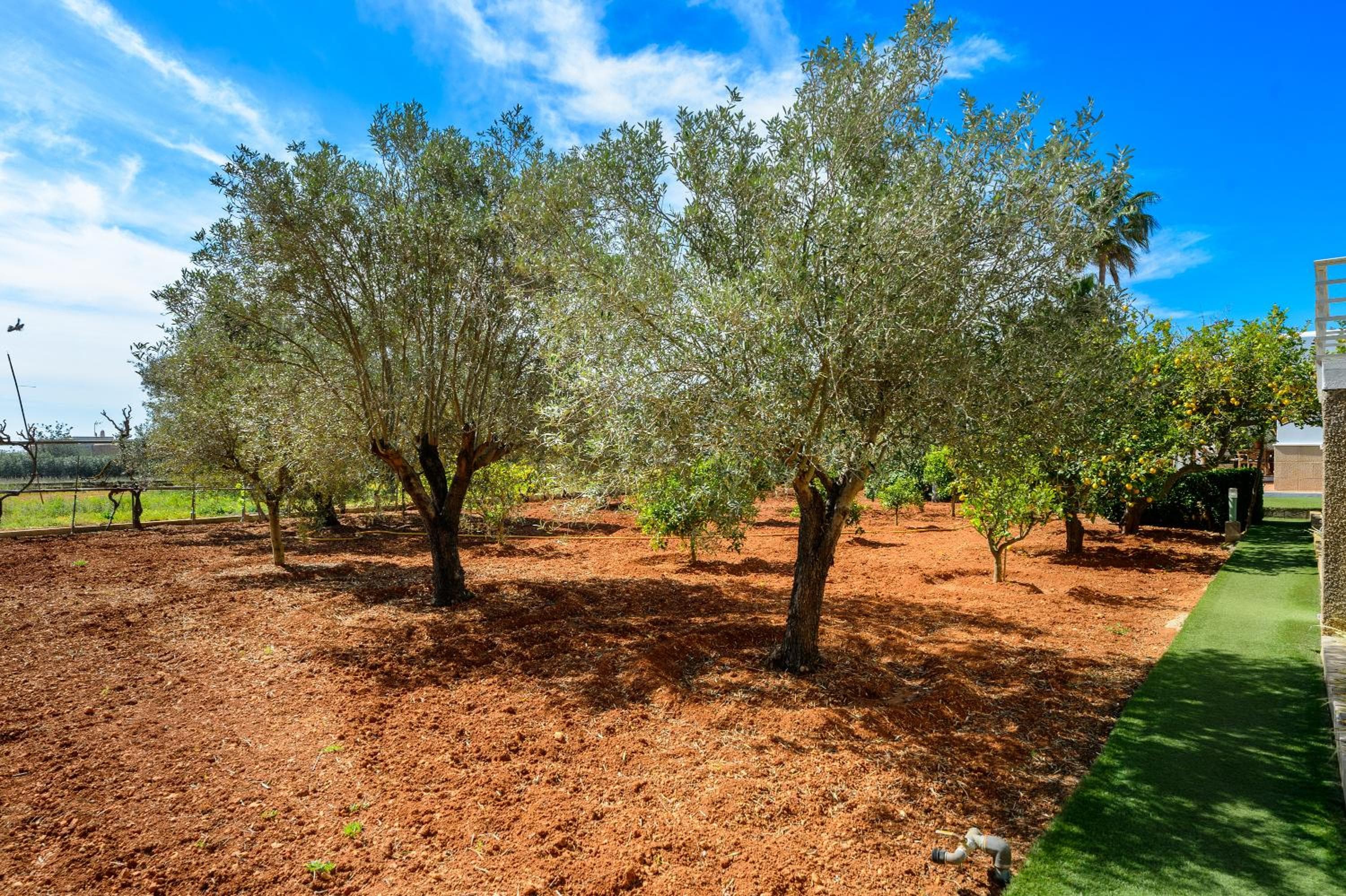 Villa S'hort des Baladres Ibiza — 26