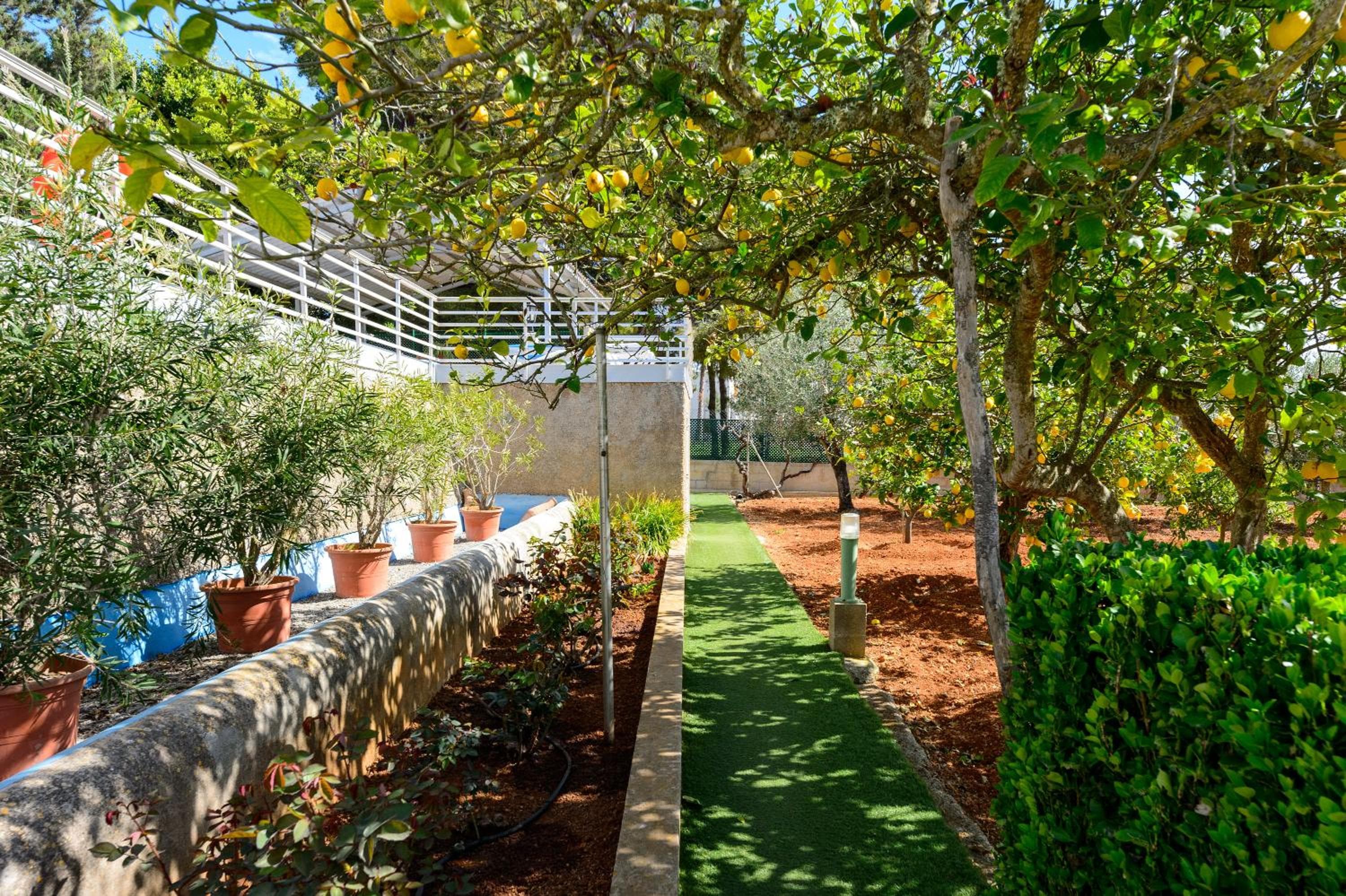 Villa S'hort des Baladres Ibiza — 28