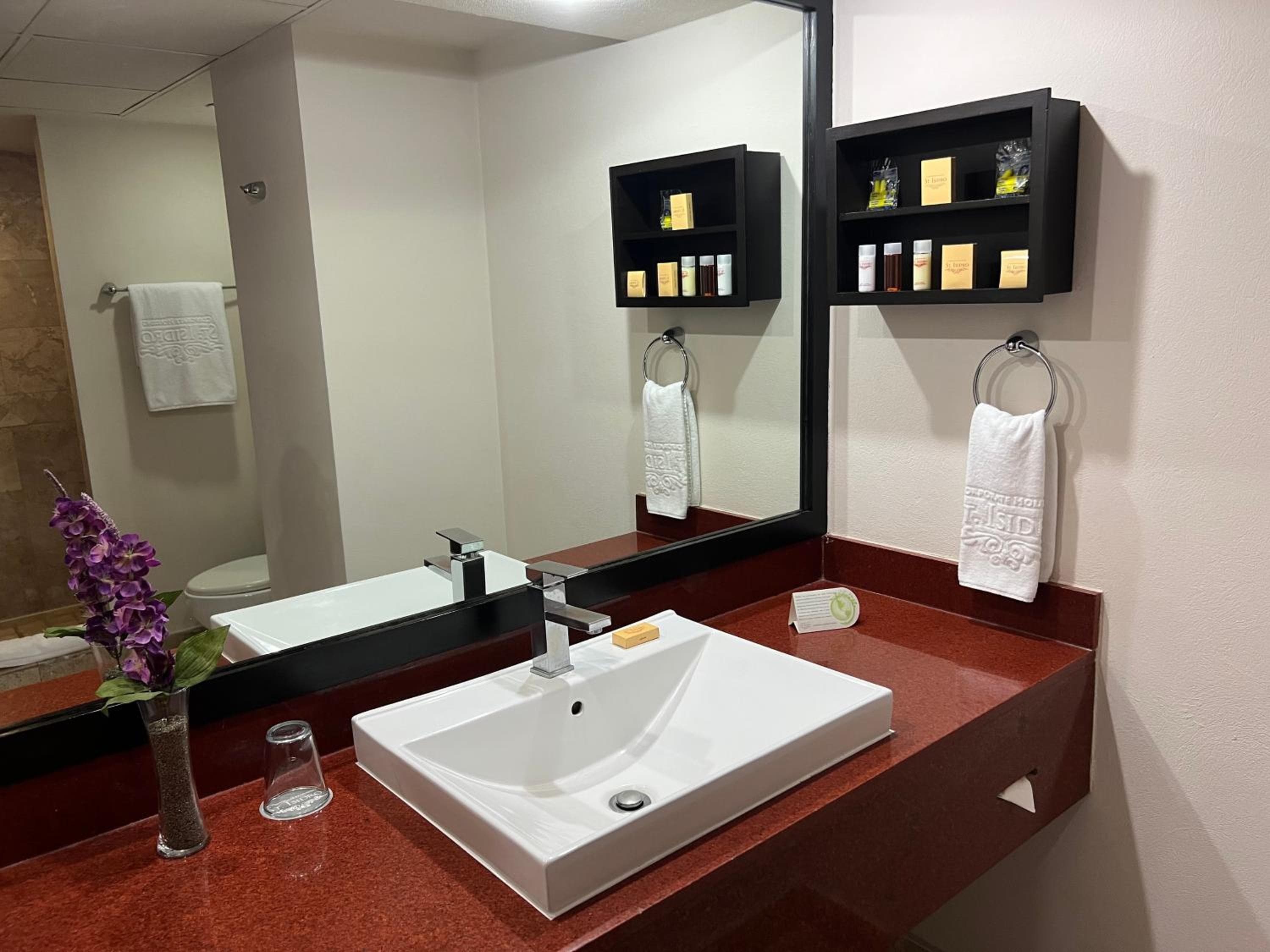 St Isidro Suites Alojamiento Corporativo SPA y Centro de Bienestar — 21