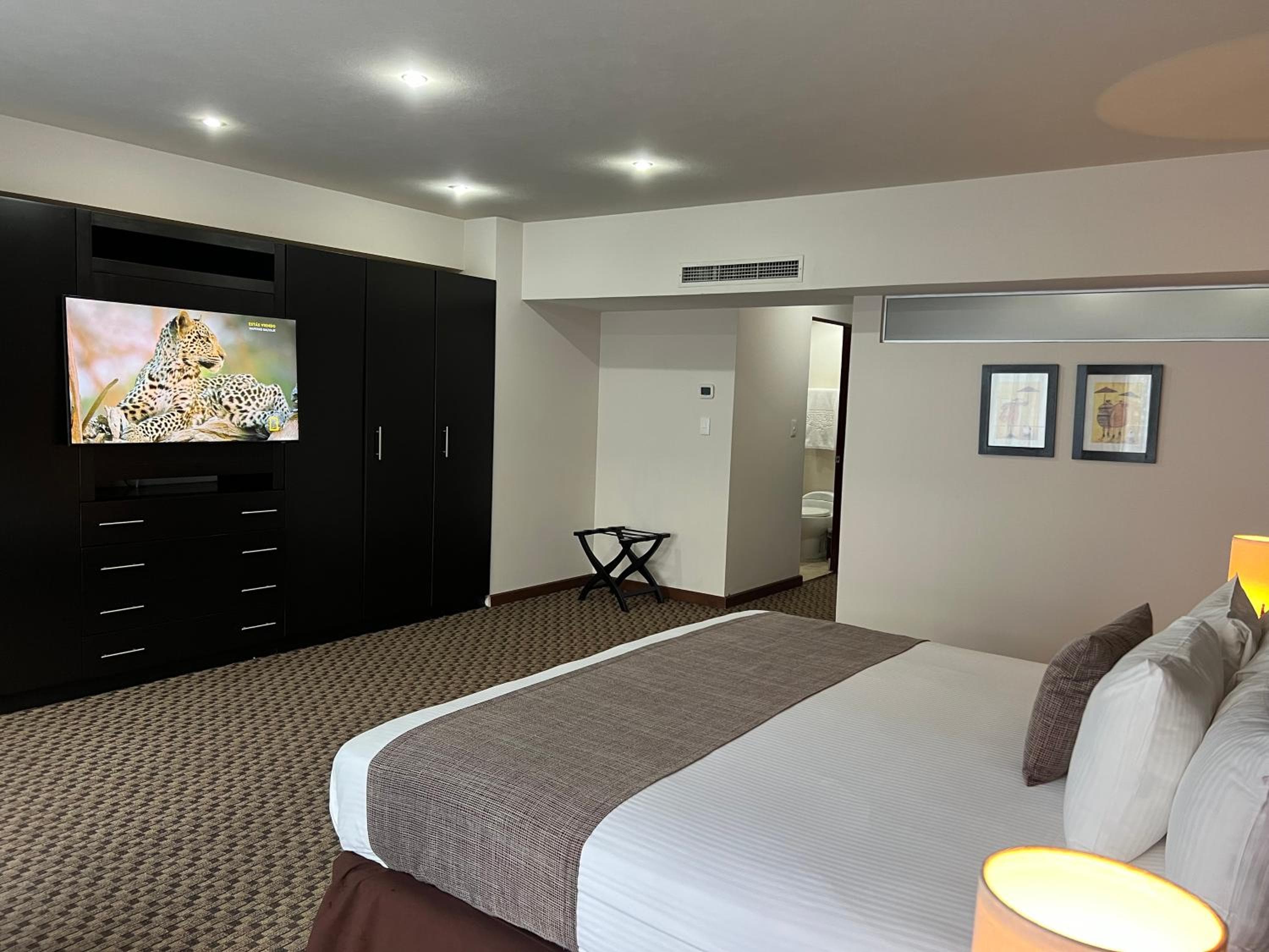 St Isidro Suites Alojamiento Corporativo SPA y Centro de Bienestar — 28