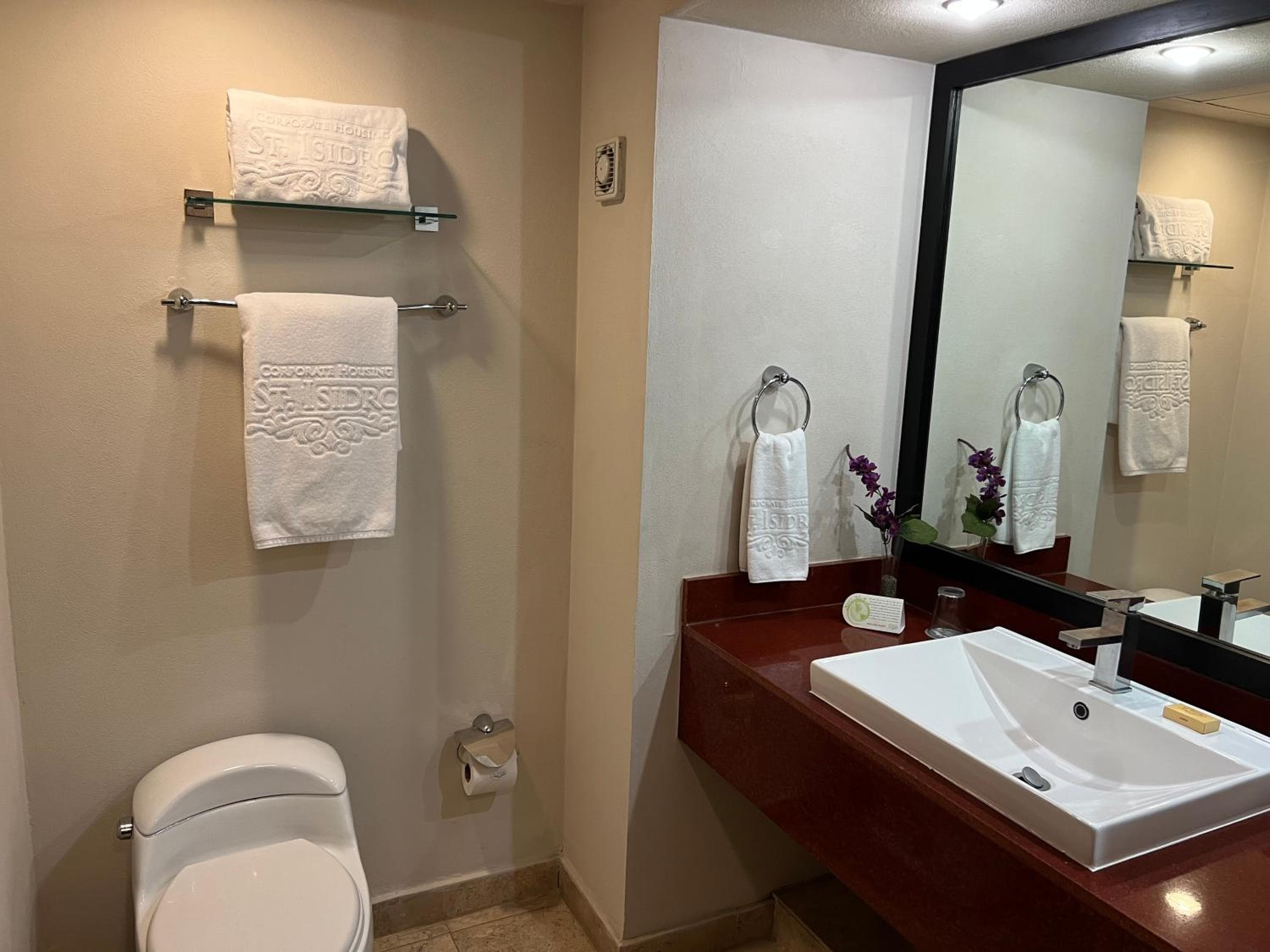 St Isidro Suites Alojamiento Corporativo SPA y Centro de Bienestar — 29