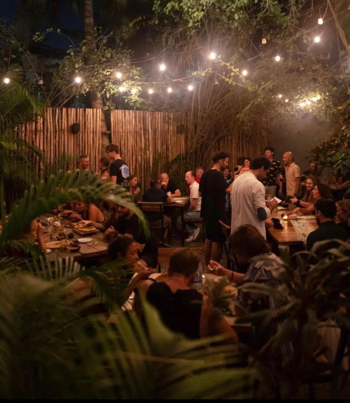 MIO Tulum Hotel Boutique — 2