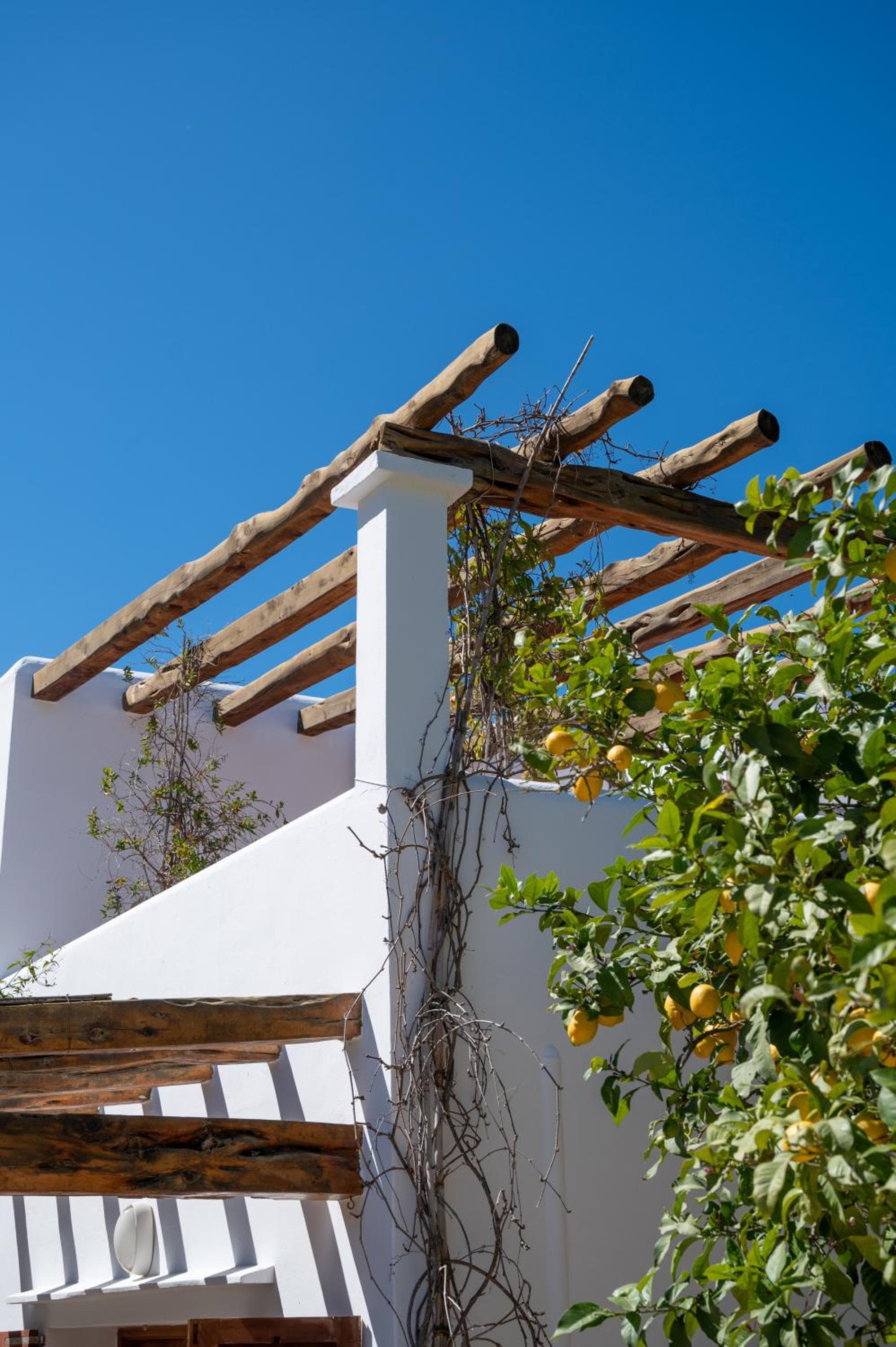 Valley Club Ibiza - Boutique Agroturismo — 27