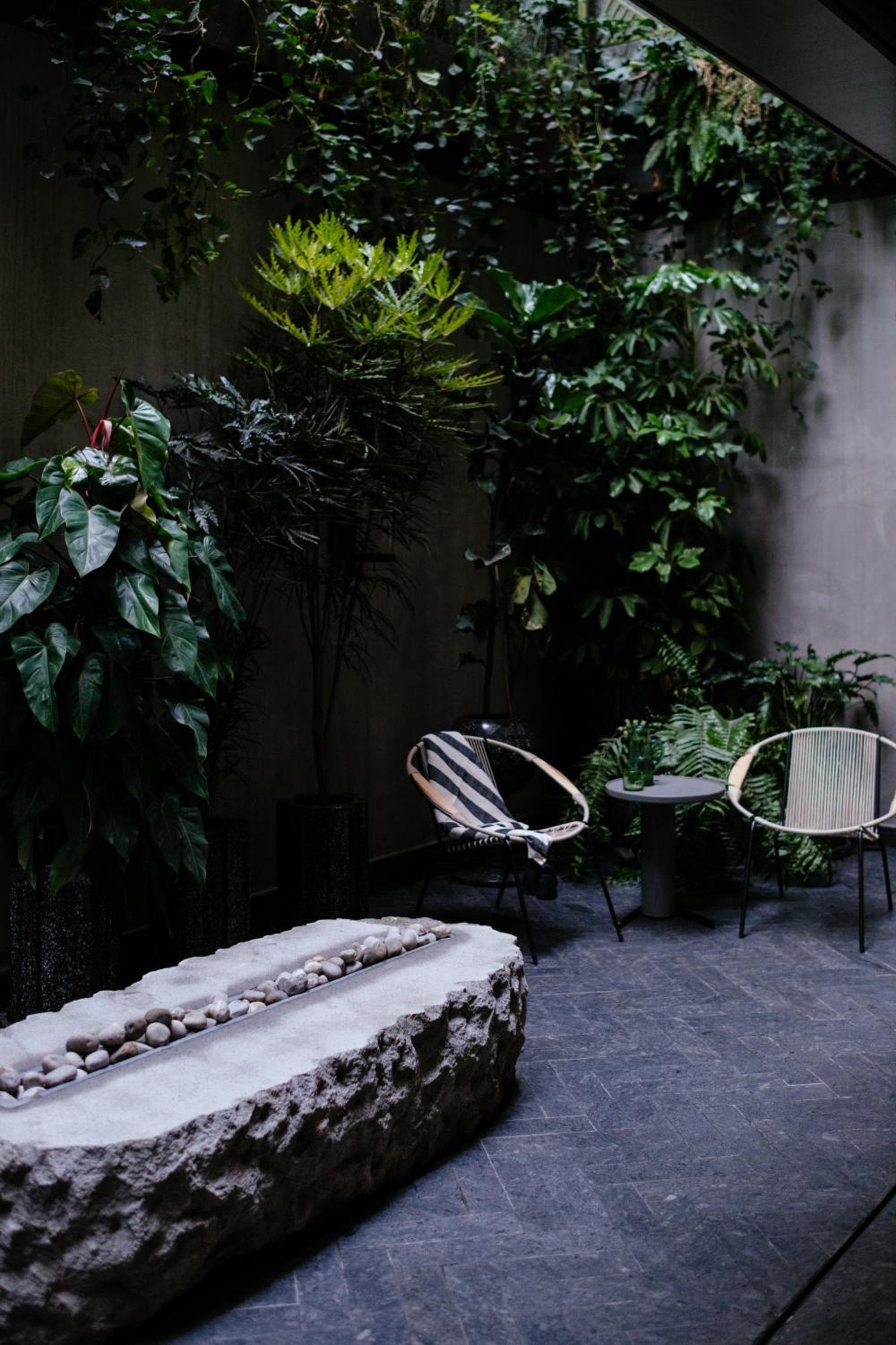 Colima 71 - Casa de Arte Hotel — 15