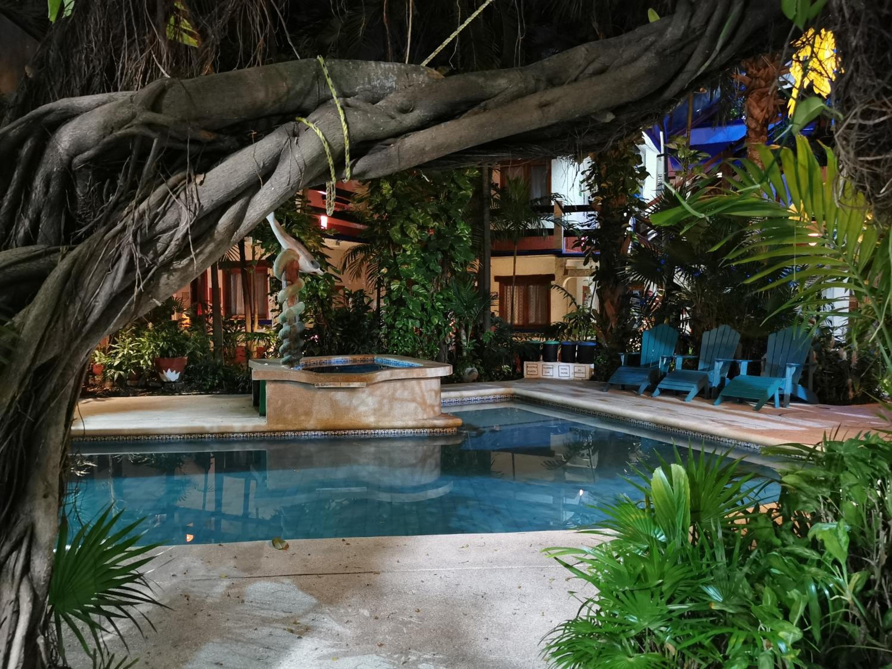 Eco-hotel El Rey del Caribe — 26