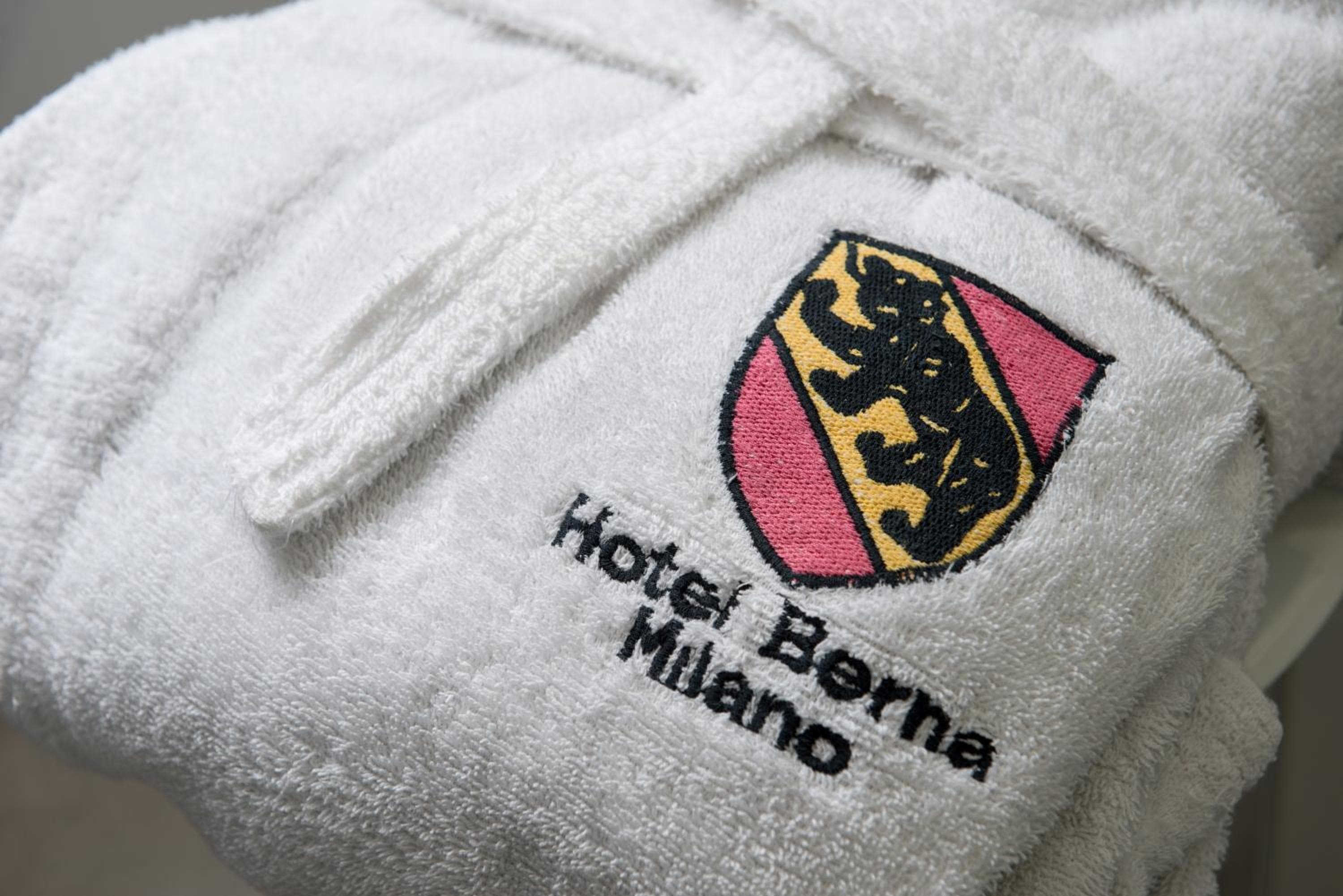 Hotel Berna hotel, Via Napo Torriani 18, Milan, Italy — photo 22