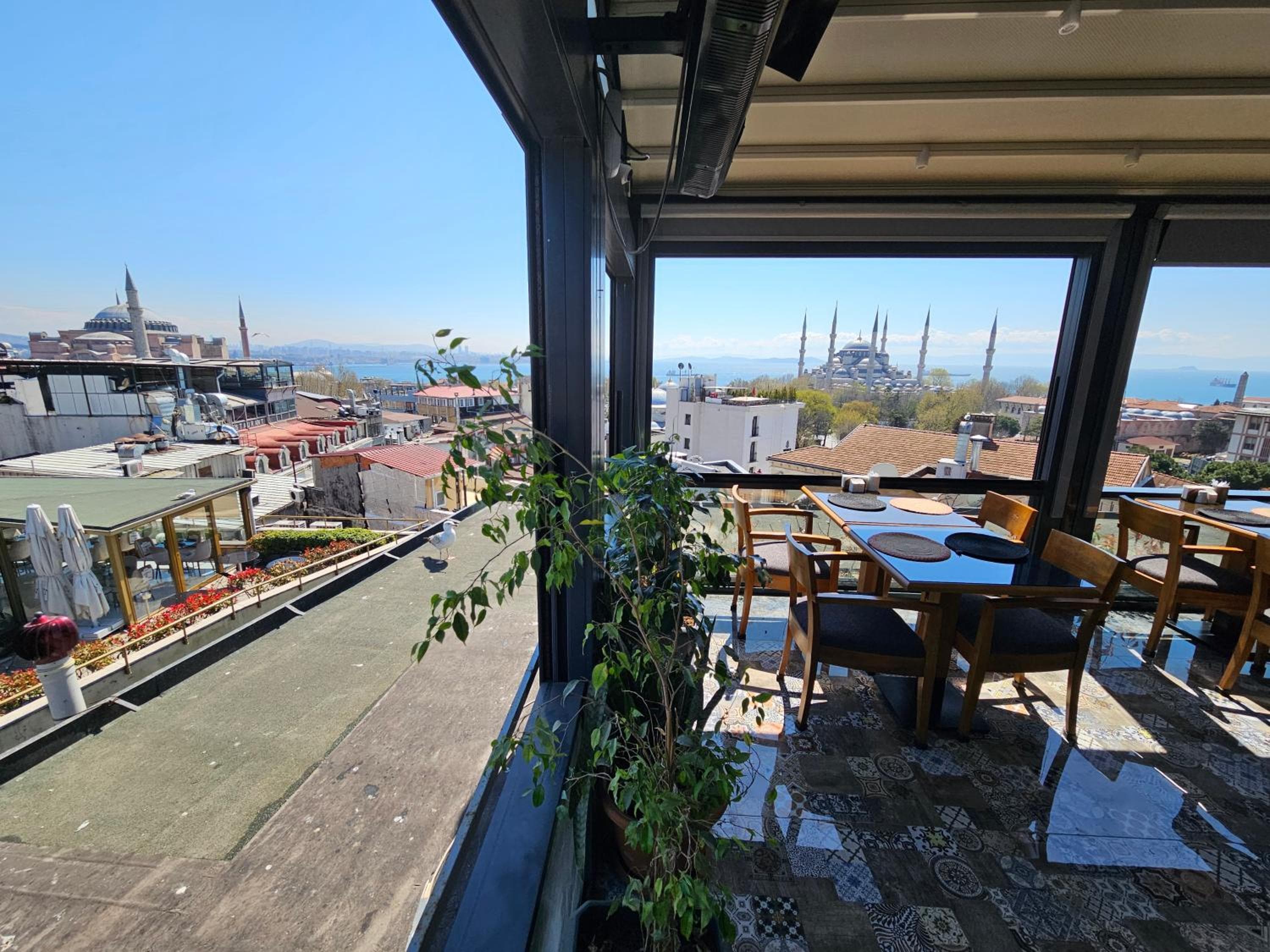 Anthemis Hotel — 28