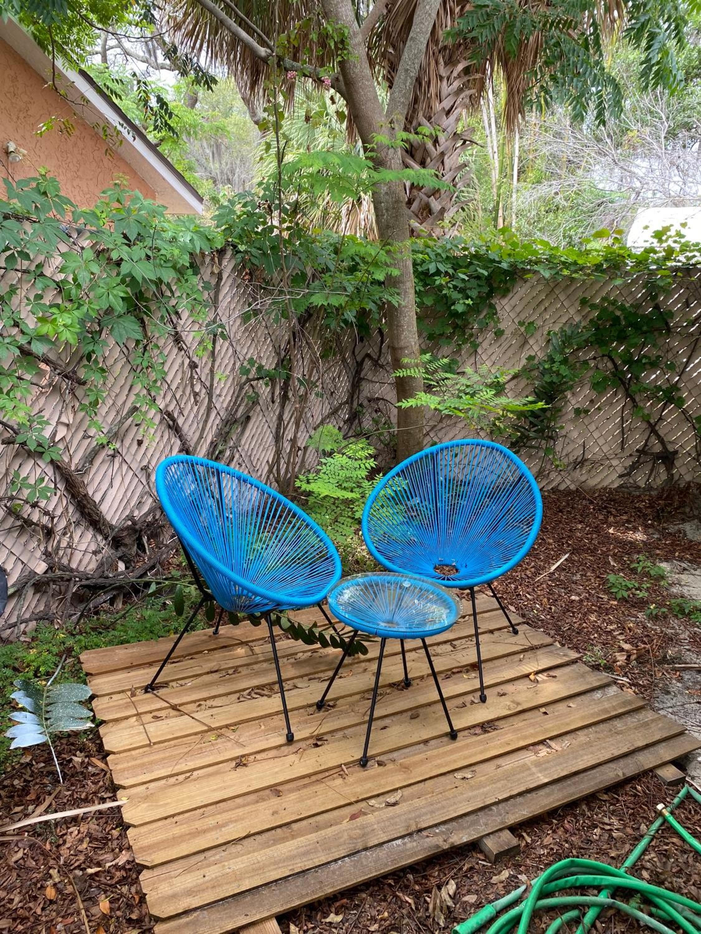 Bohemian 1 Schlafzimmer- Minuten von Busch Gardens — 4