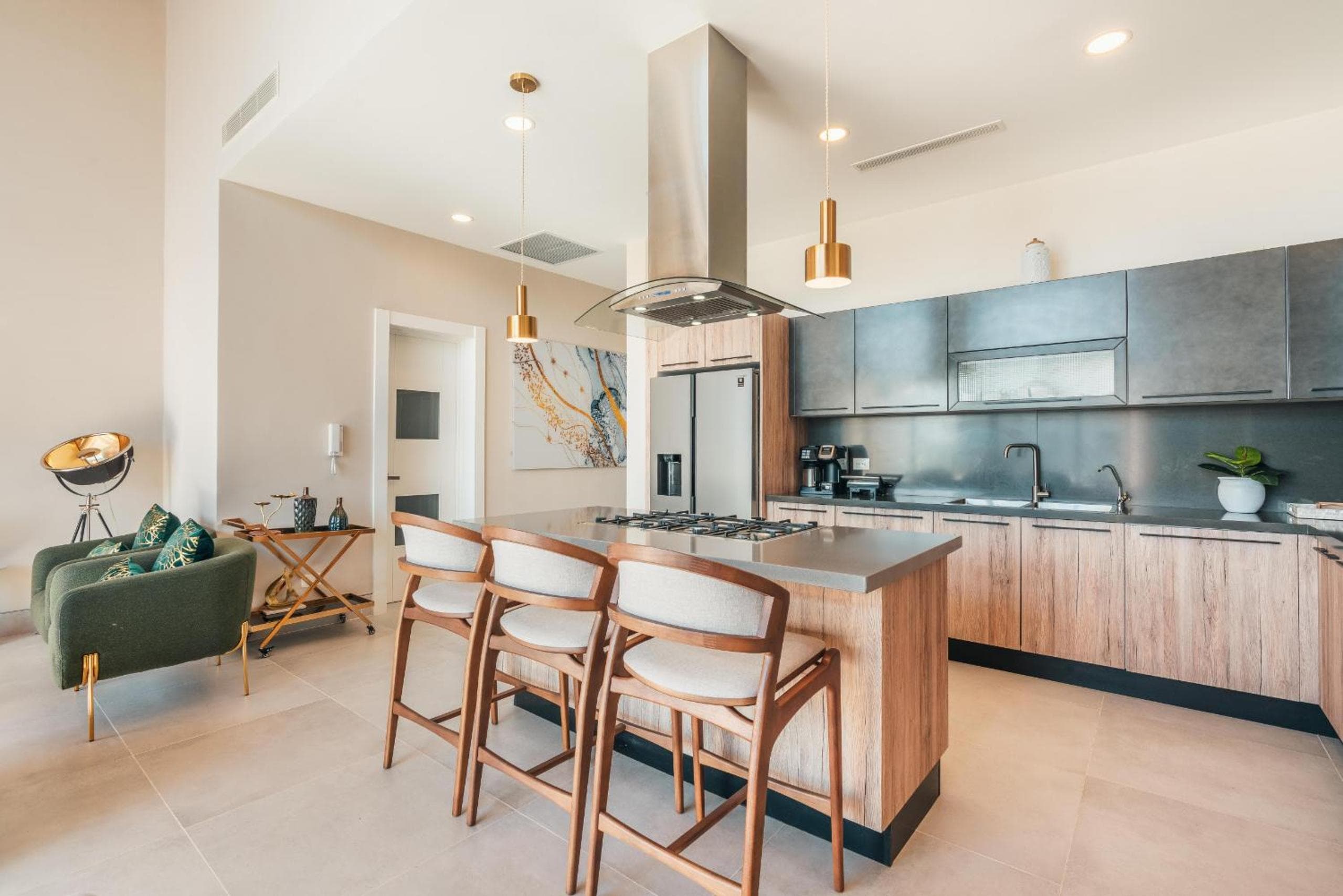 Armonioso Apartamento en Loft Cap Cana D4D — 4