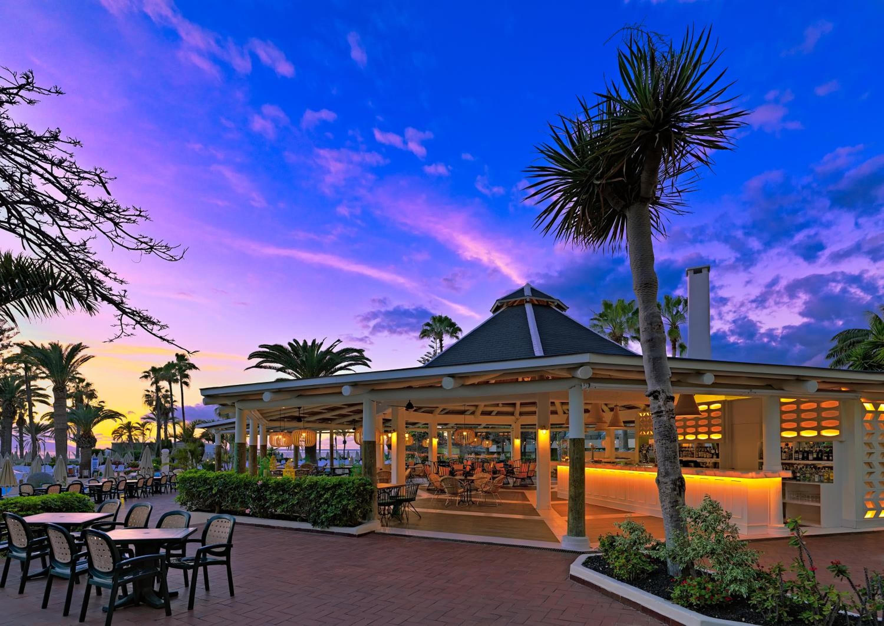 H10 Las Palmeras — 19