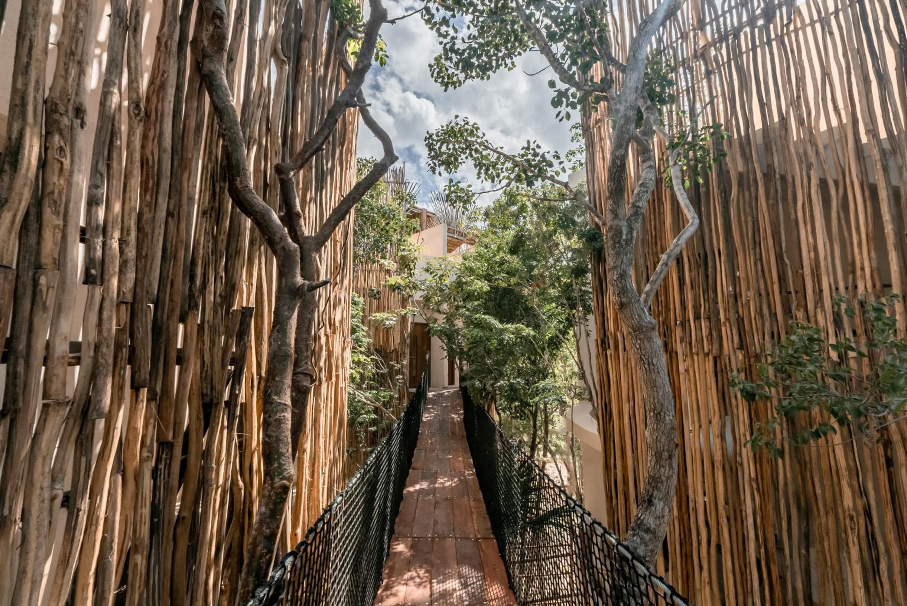 Taio Tulum — 2