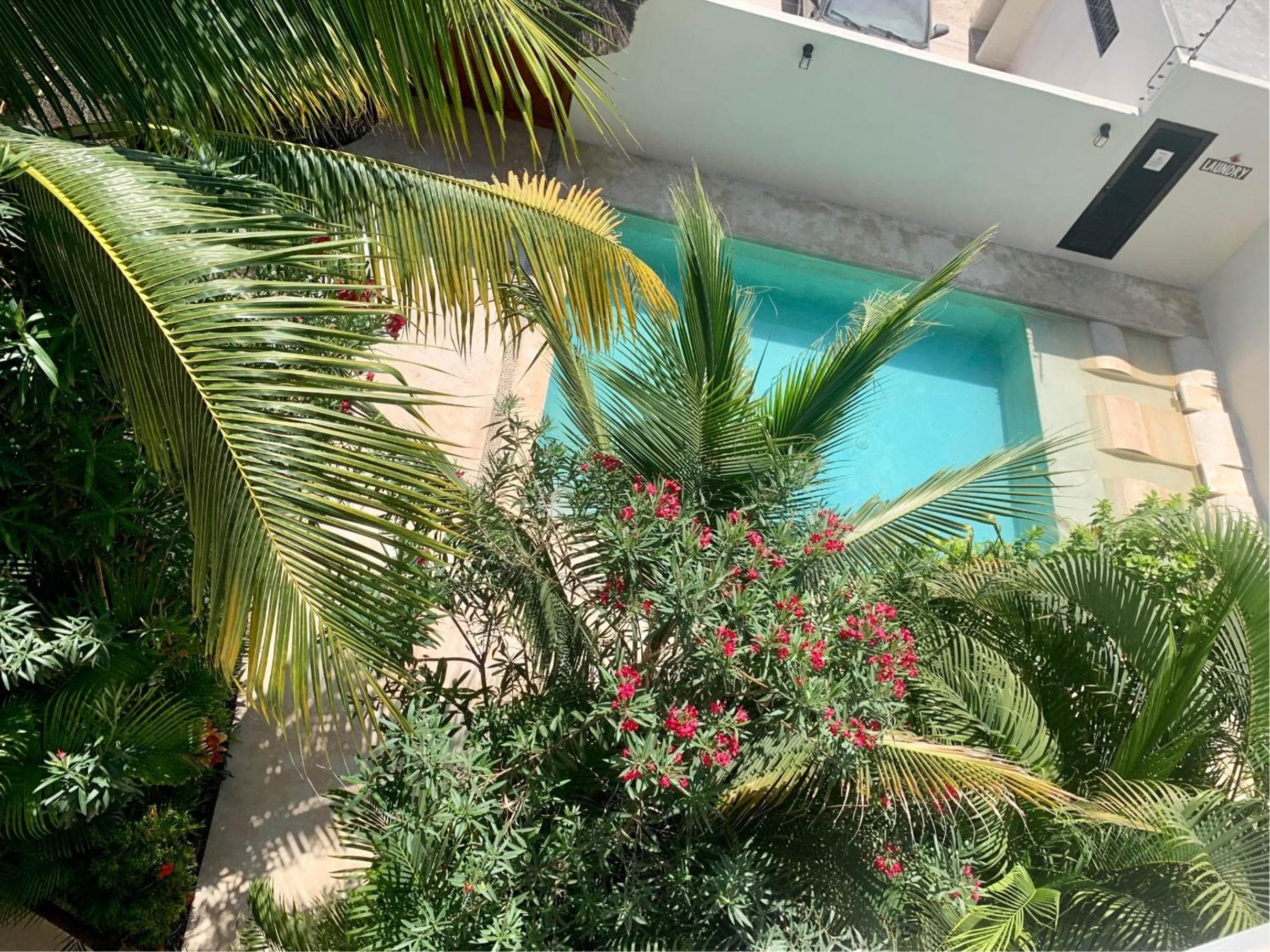 Tua Tulum Apartments spaziosi e confortevoli — 7