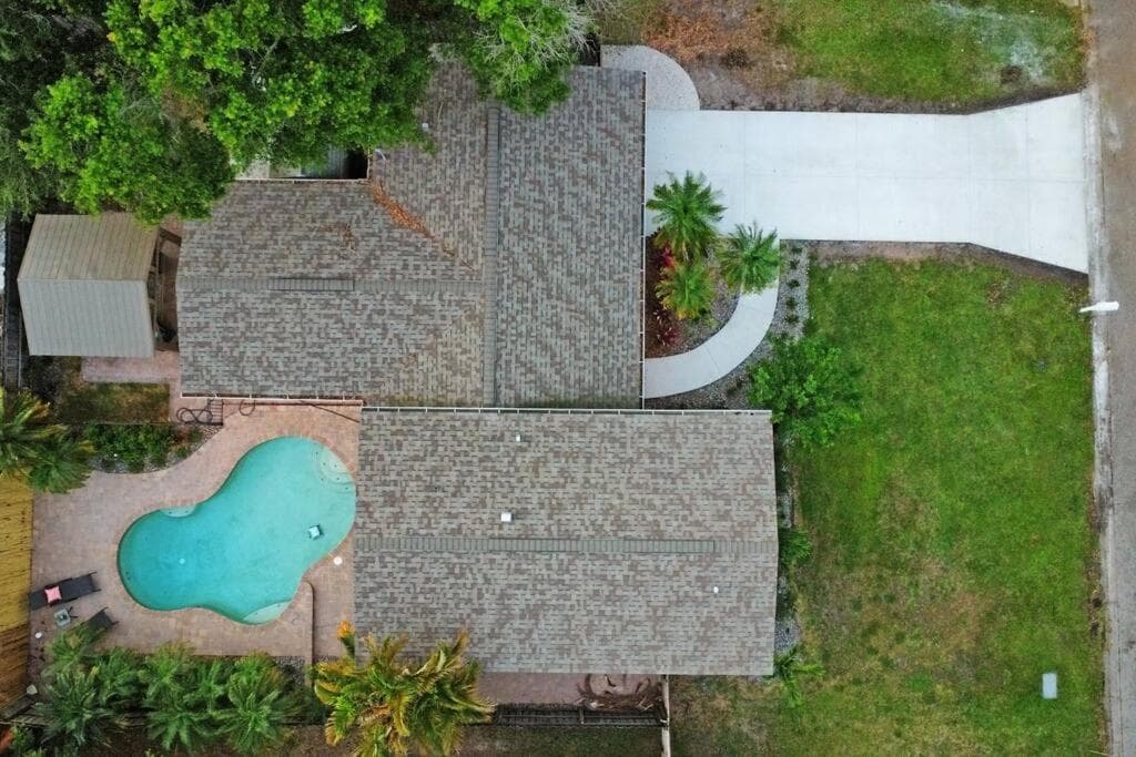 Palm Tree Paradise Tampa Pool Home — 23