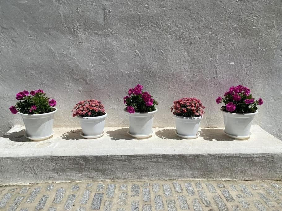 Casa Galería La Retinta — 12