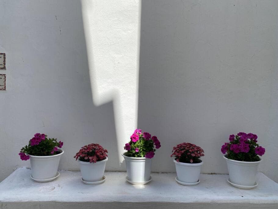 Casa Galería La Retinta — 12