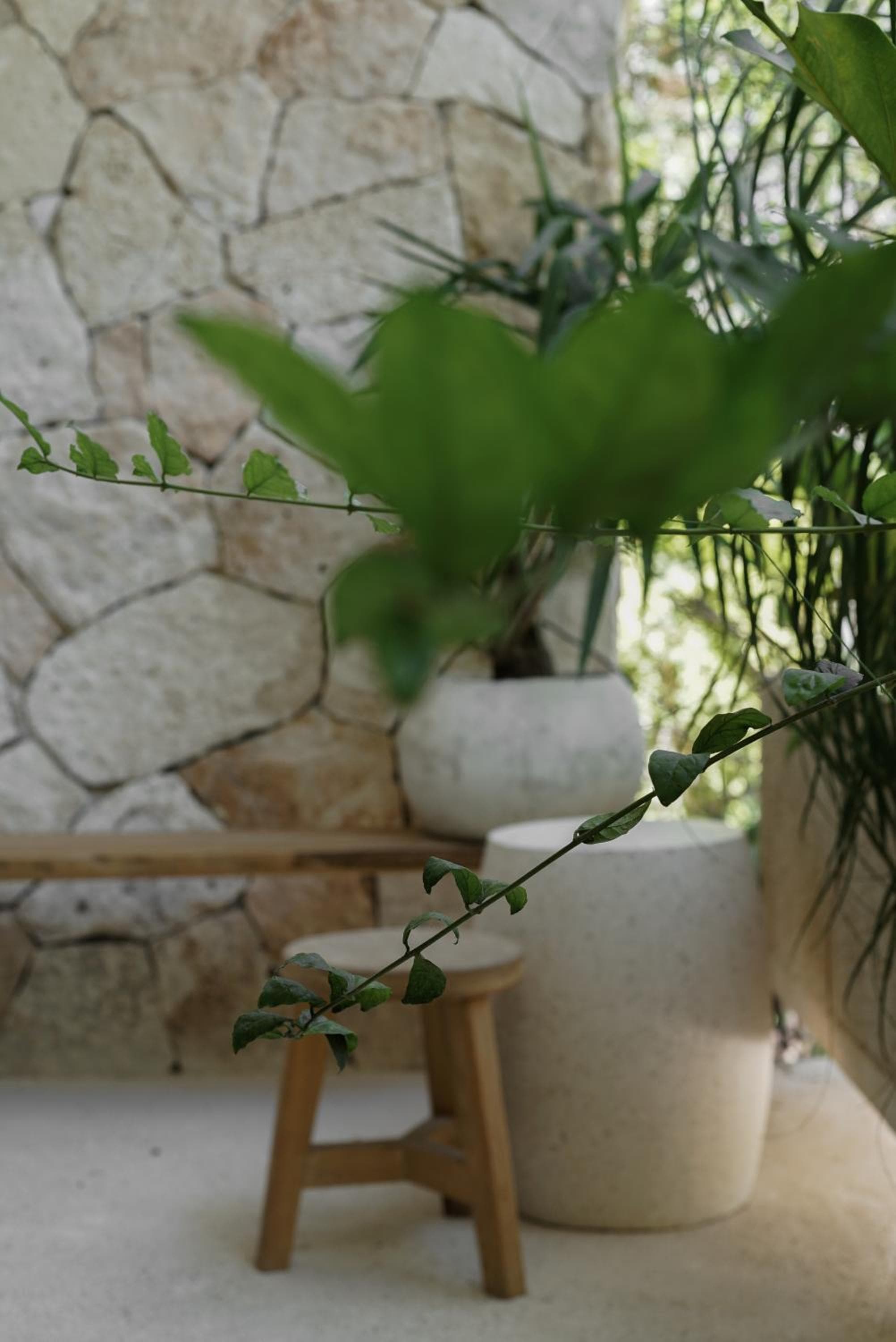 Teva Tulum, Aldea Zamá — 18