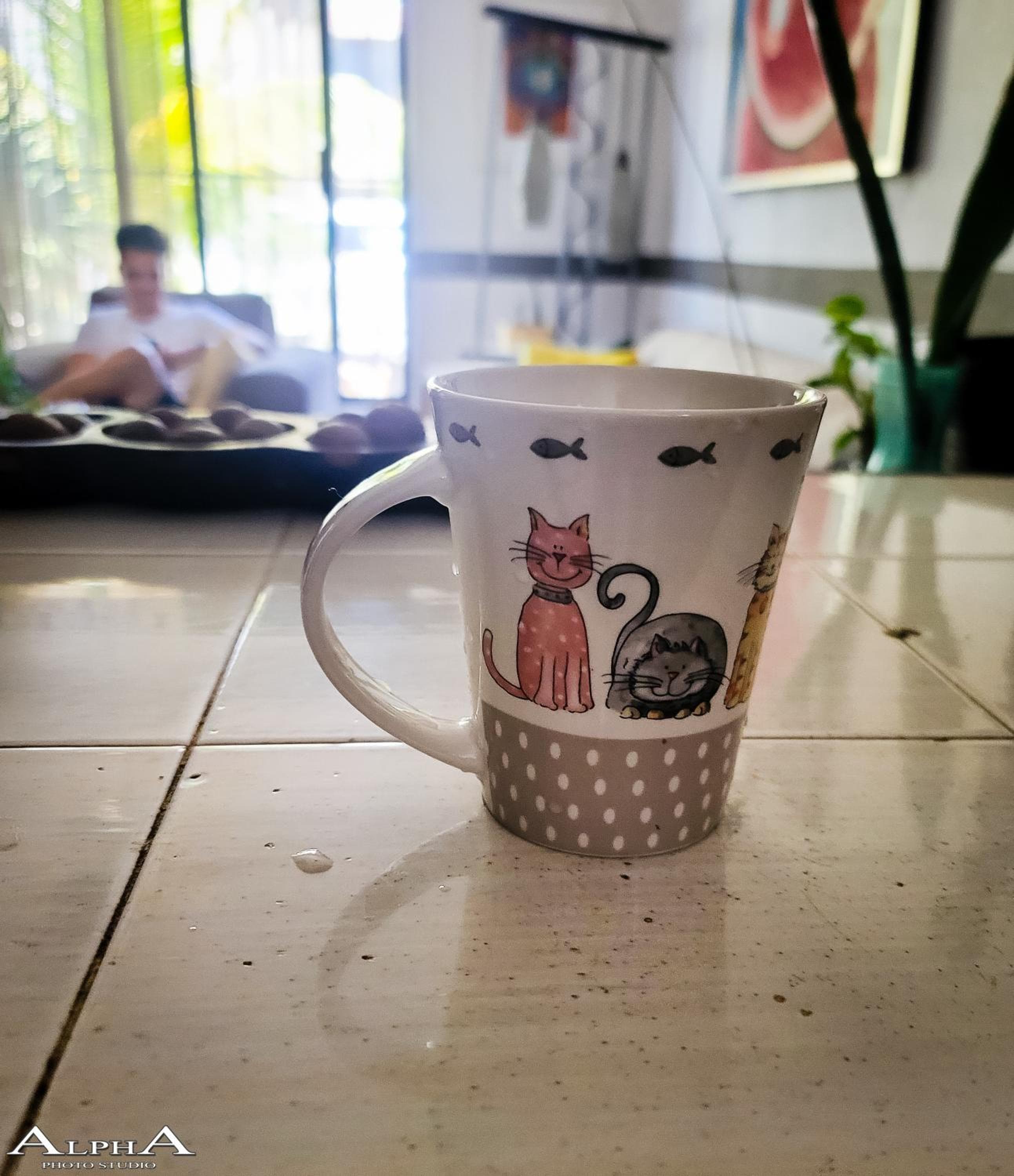 Tu Casa en el Caribe — 11