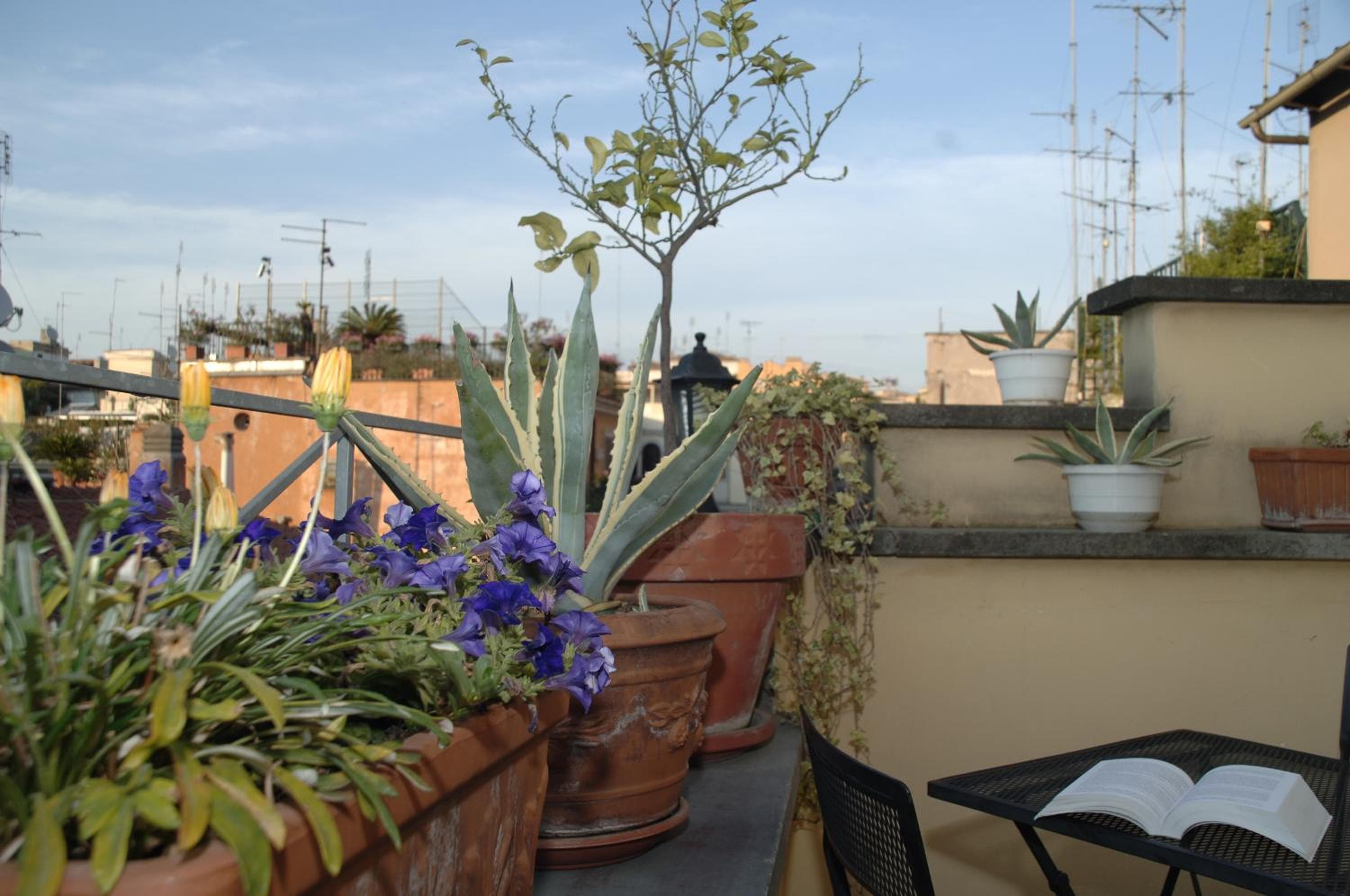Hotel Fellini — 3