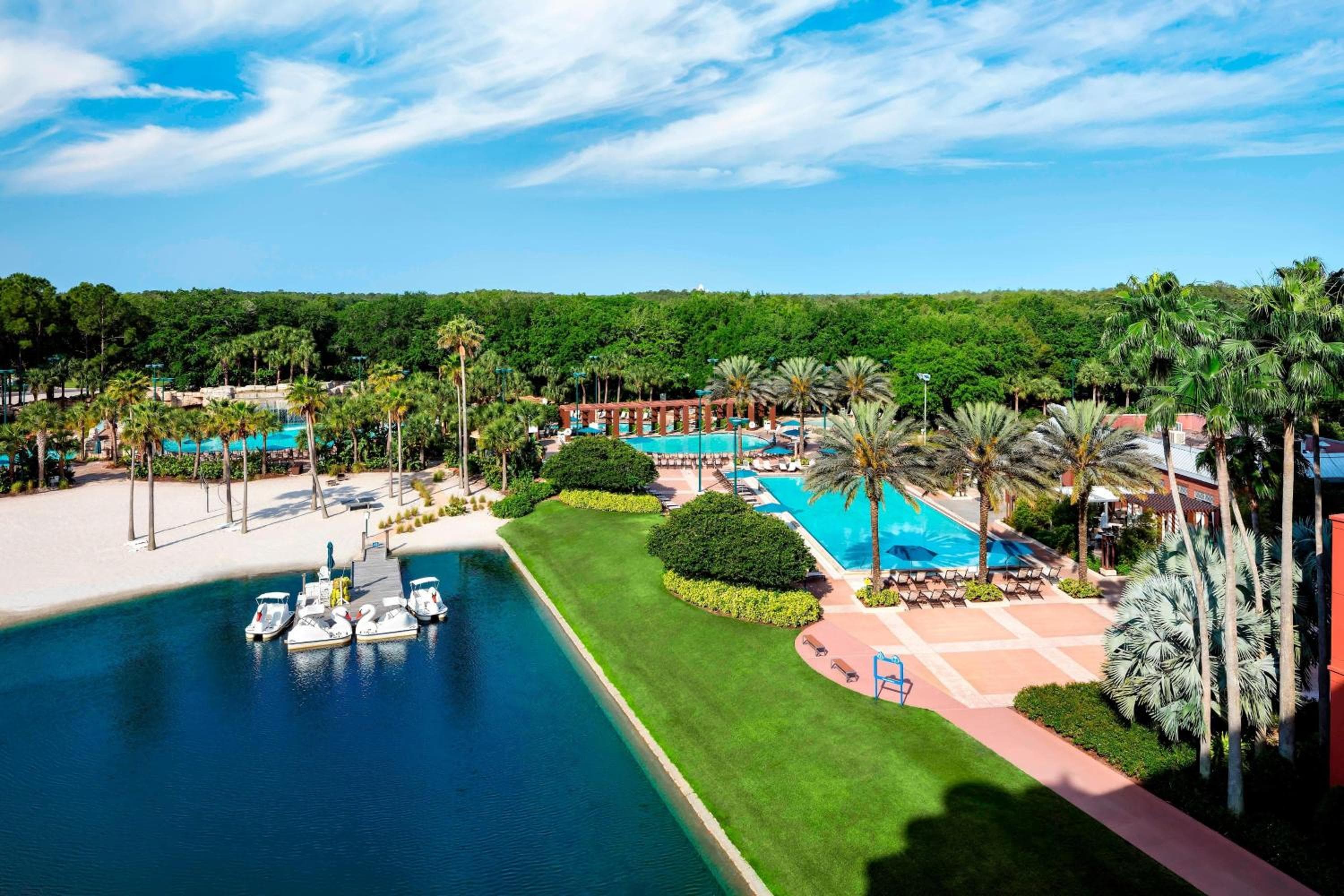 Delfín de Walt Disney World — 8