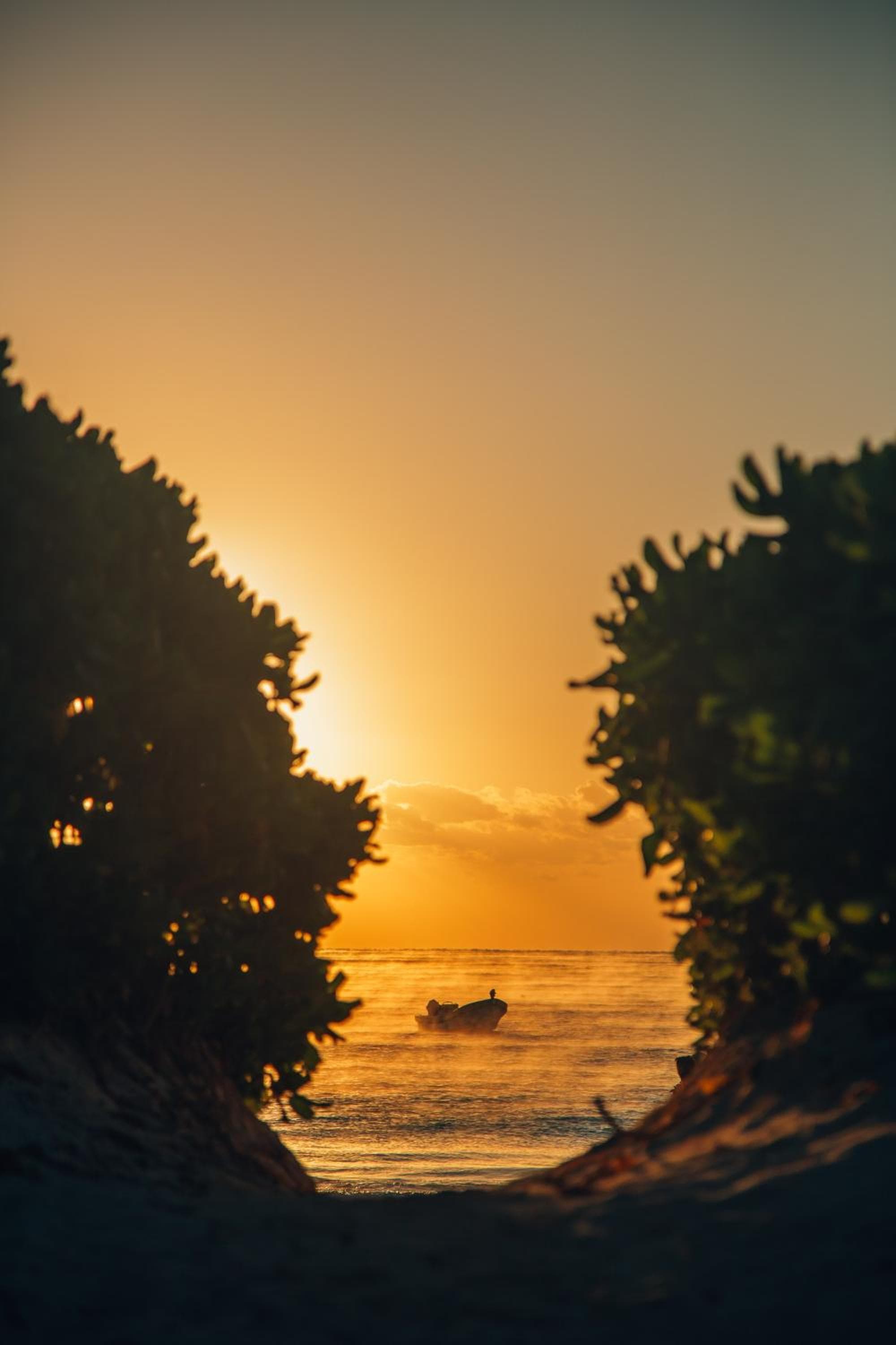 Glamp Ikal Tulum — 11