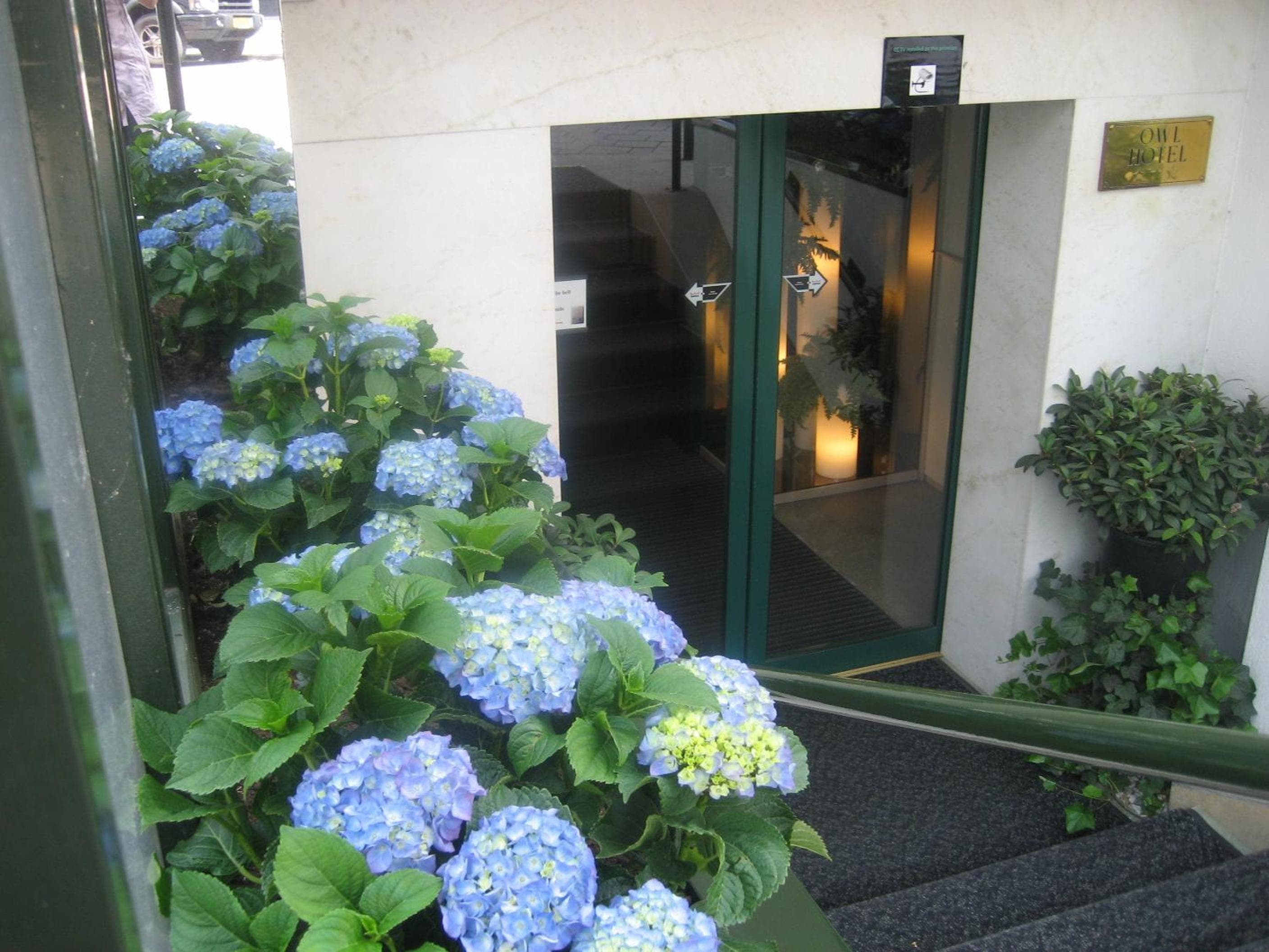 Albergo del Gufo — 6