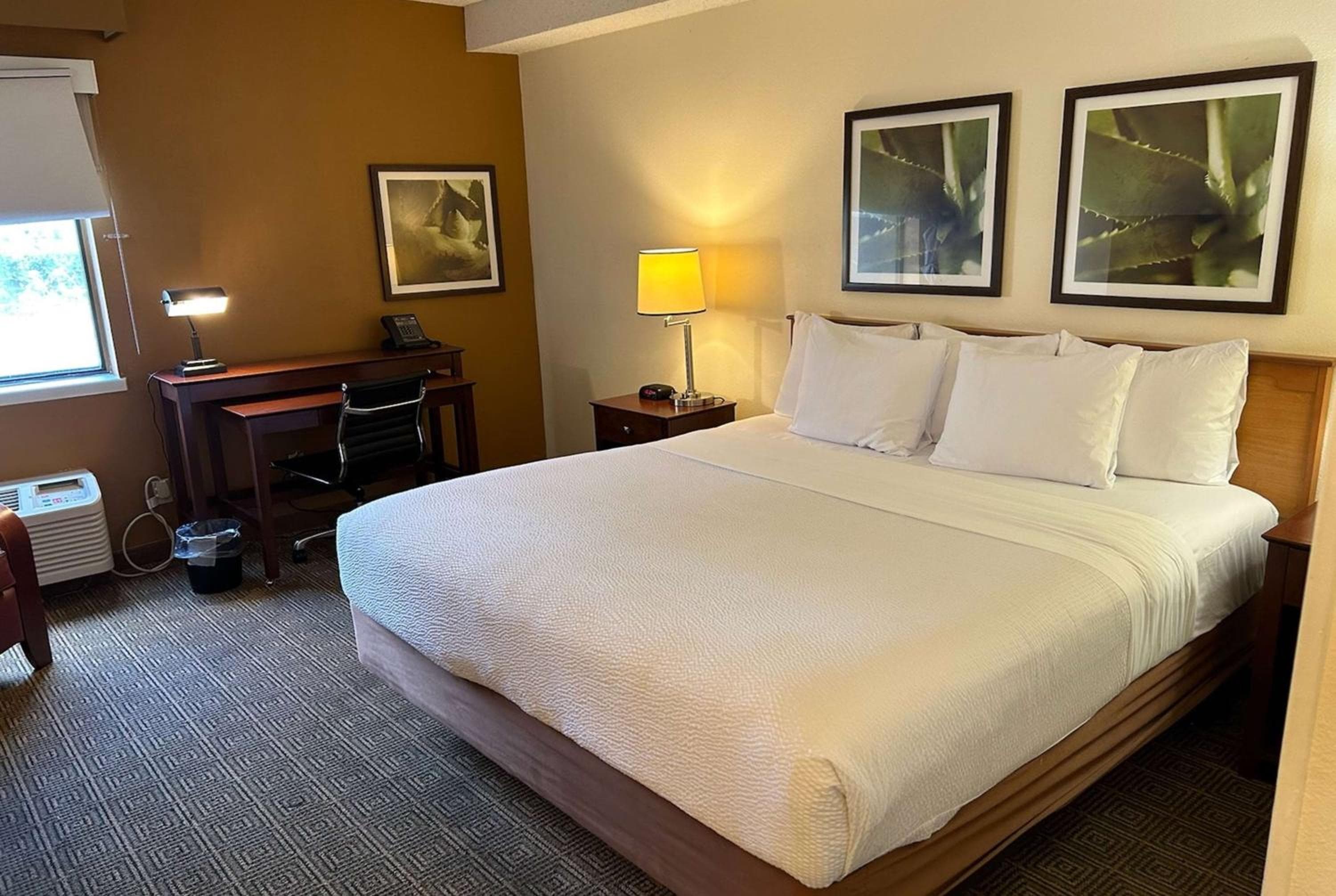 Baymont by Wyndham Orlando South — 5
