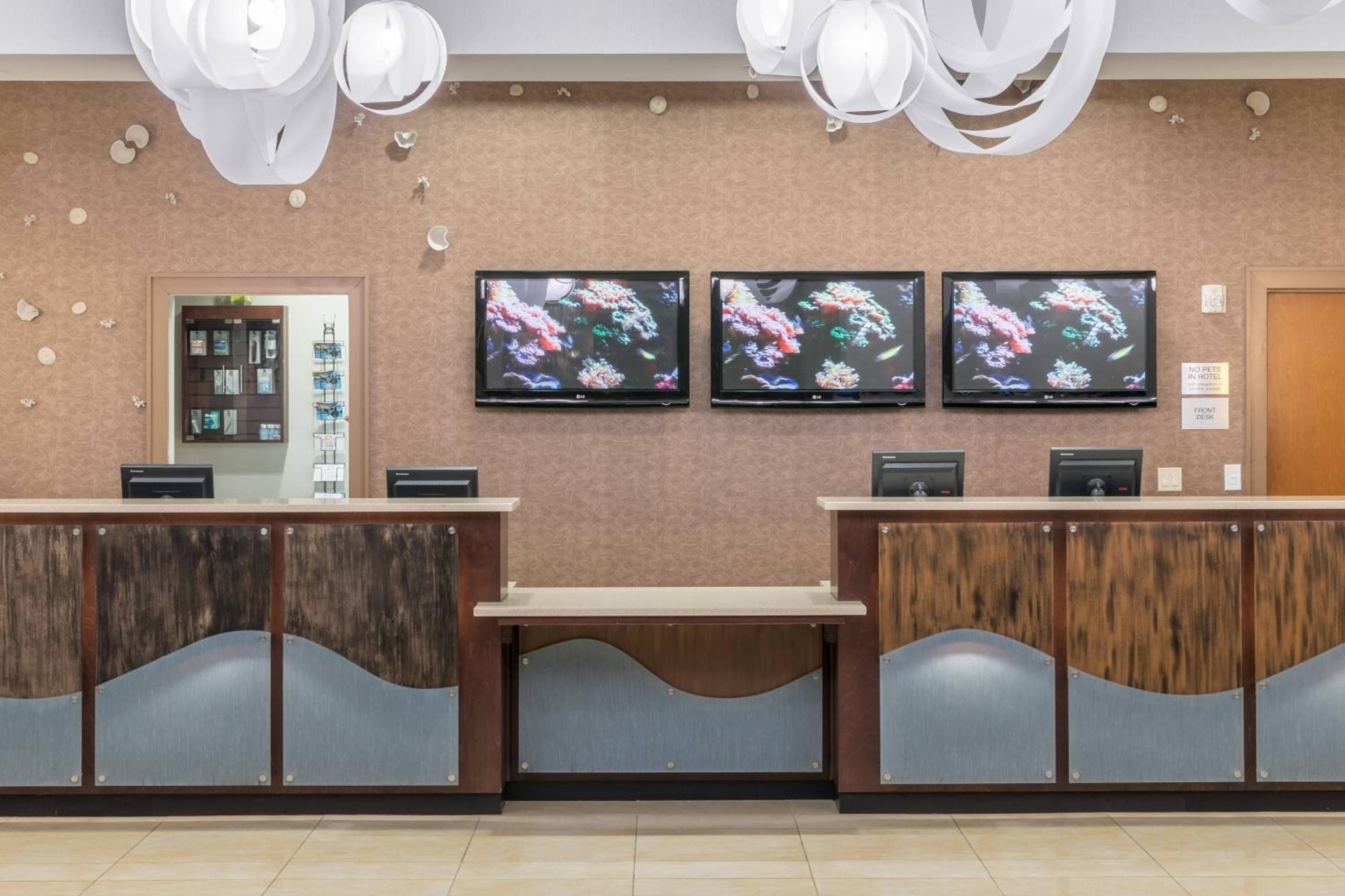 Fairfield Inn Suites by Marriott Orlando am SeaWorld — 4