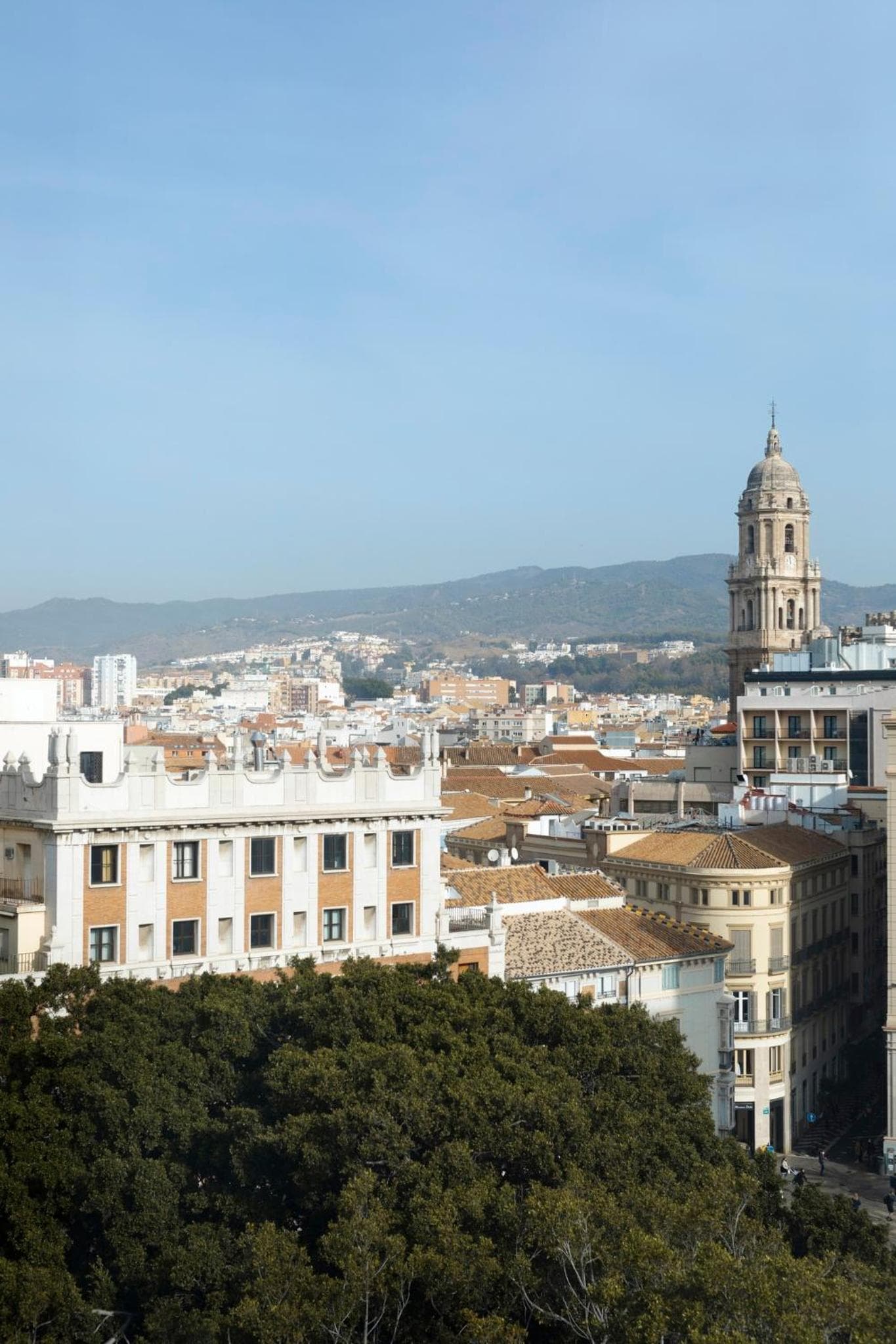 Gran Alameda von Caleta Homes — 19