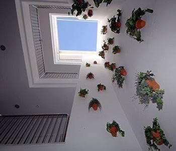 Un patio a Santa Cruz — 16