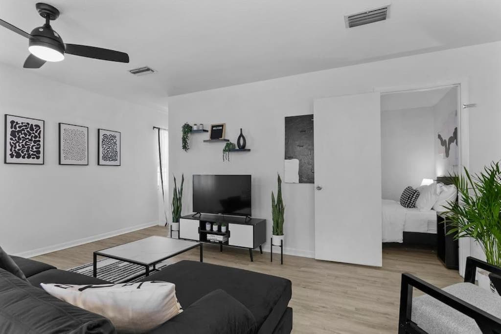 Zebra House - Chiudi 2 tutto ciò che TampaBay ha da offrire — 19
