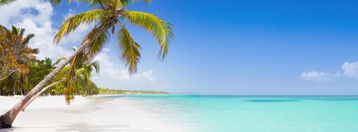 Chic Beach Apartment - 3 min to the Beach — 7