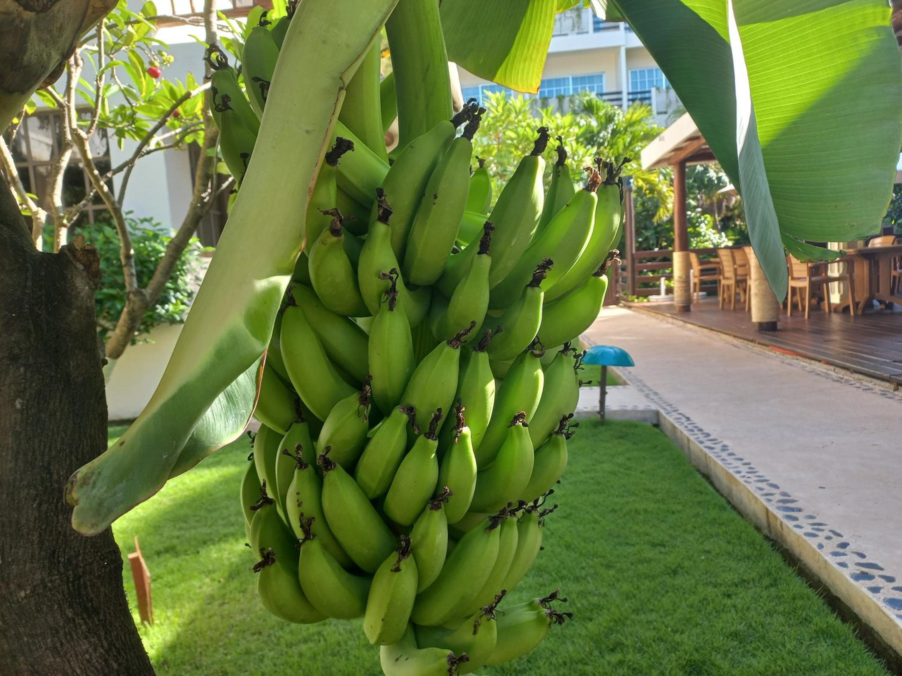 Hotel Posada Sian Kaan — 19