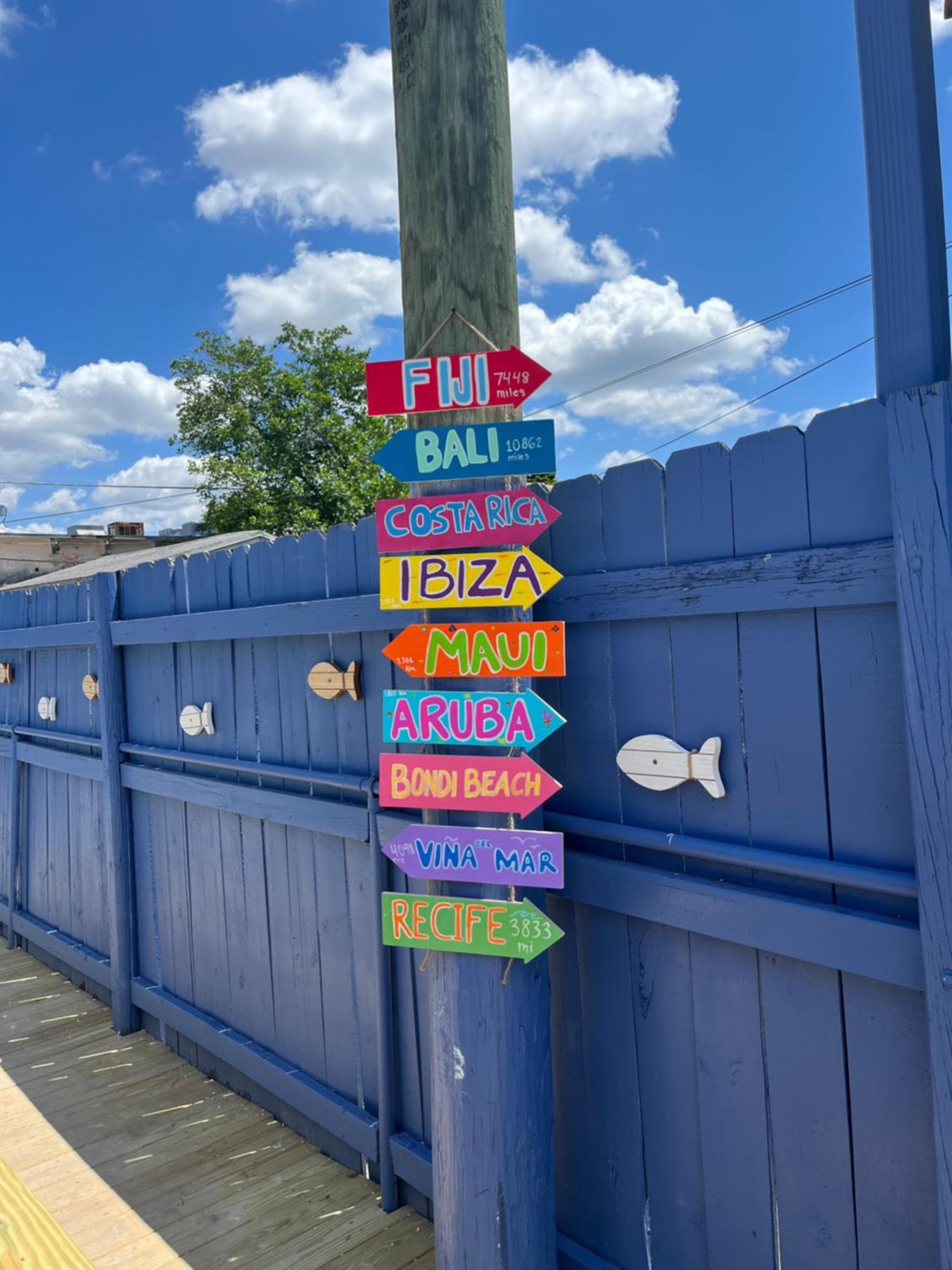 Blue Little Havana — 10