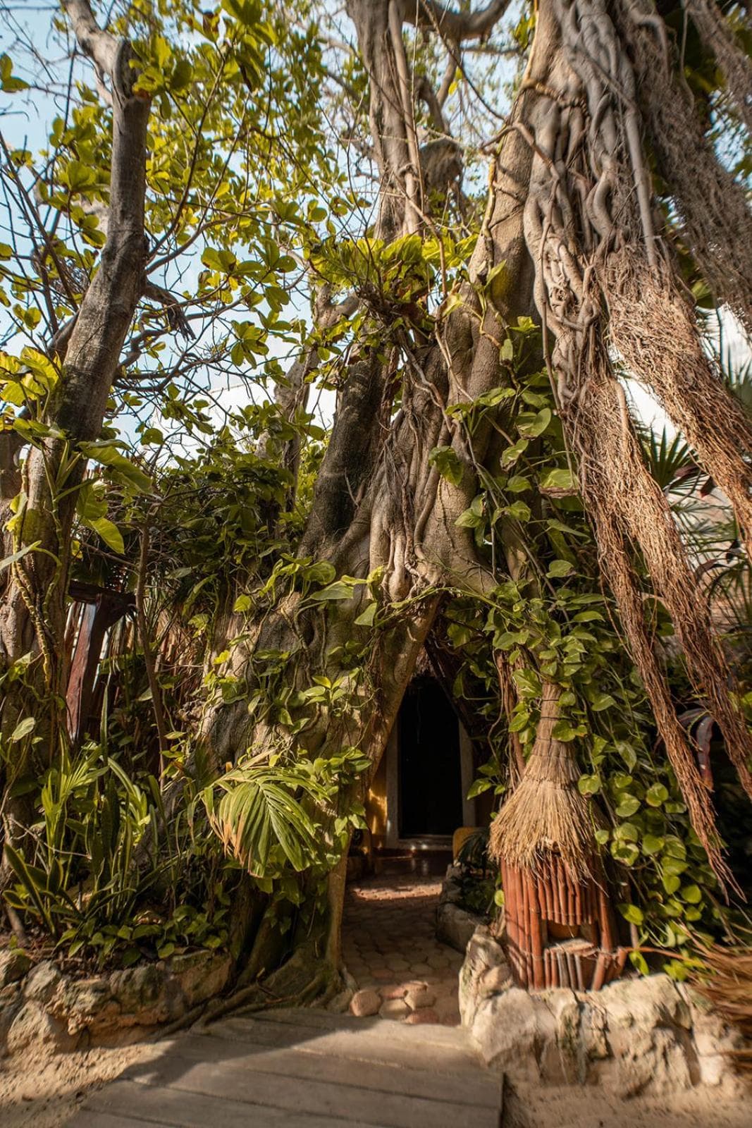 Hotel Casa Colibri — 23