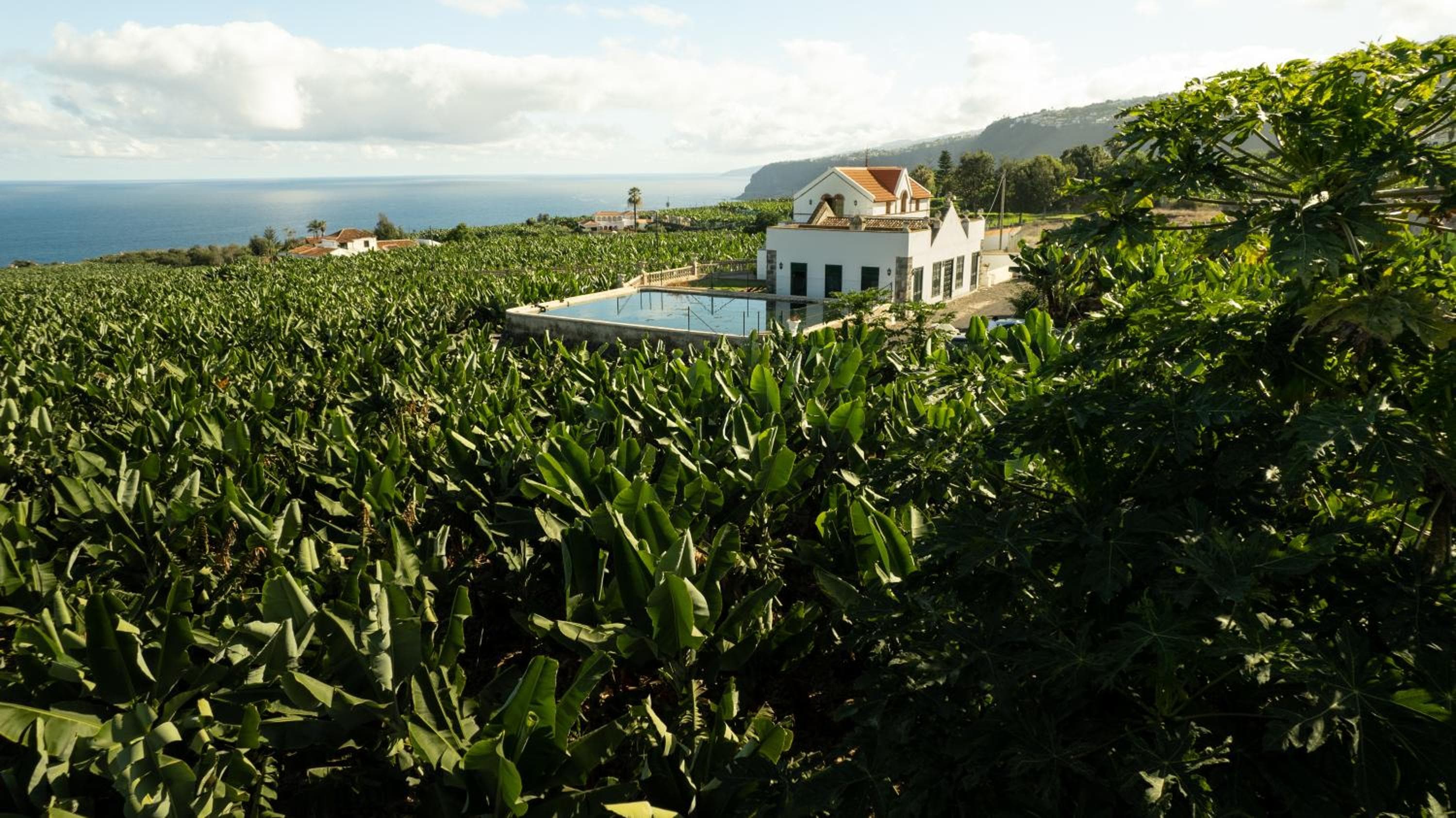 Hacienda Los Orovales — 1