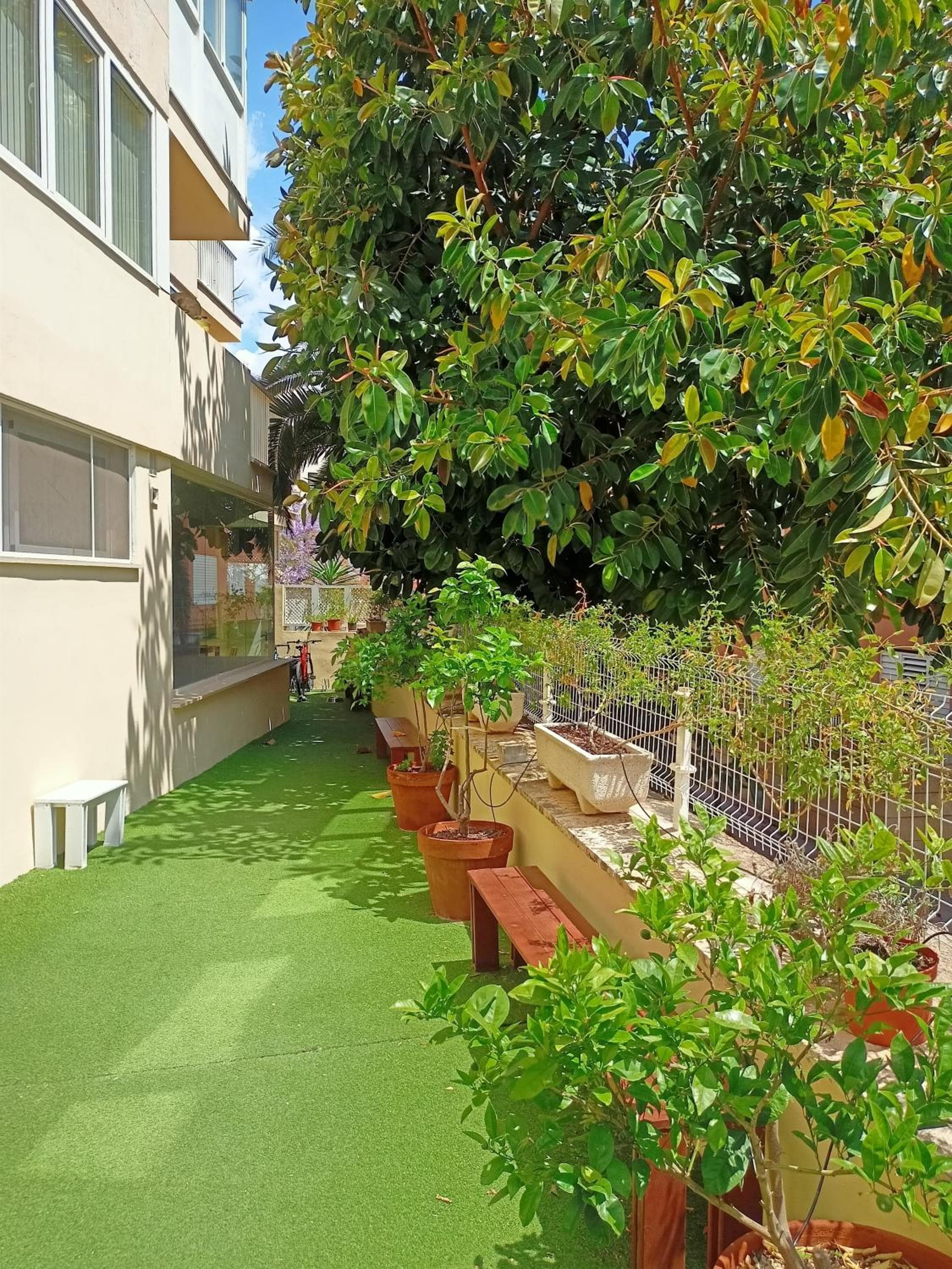 Palma Port Hostel - Ostello della gioventù — 5