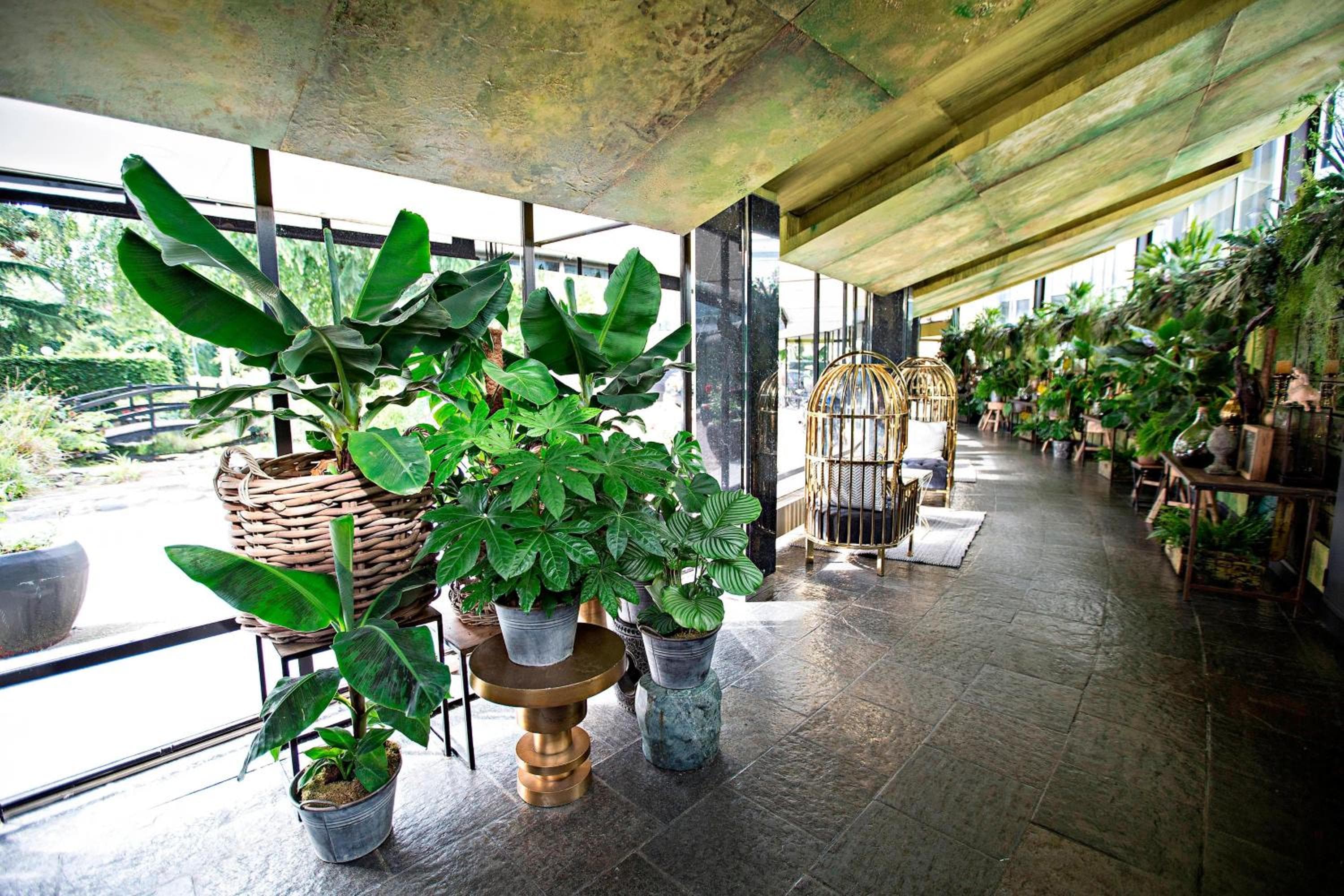 Apollo Hotel Amsterdam, un hotel tributo a la cartera — 9