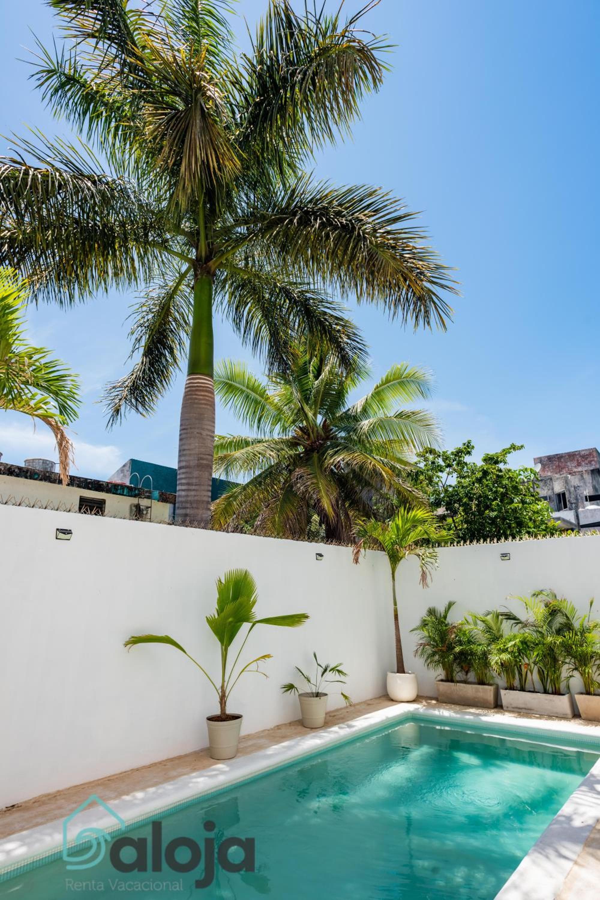 VIca Guest House Cancun - By Aloja RV — 22