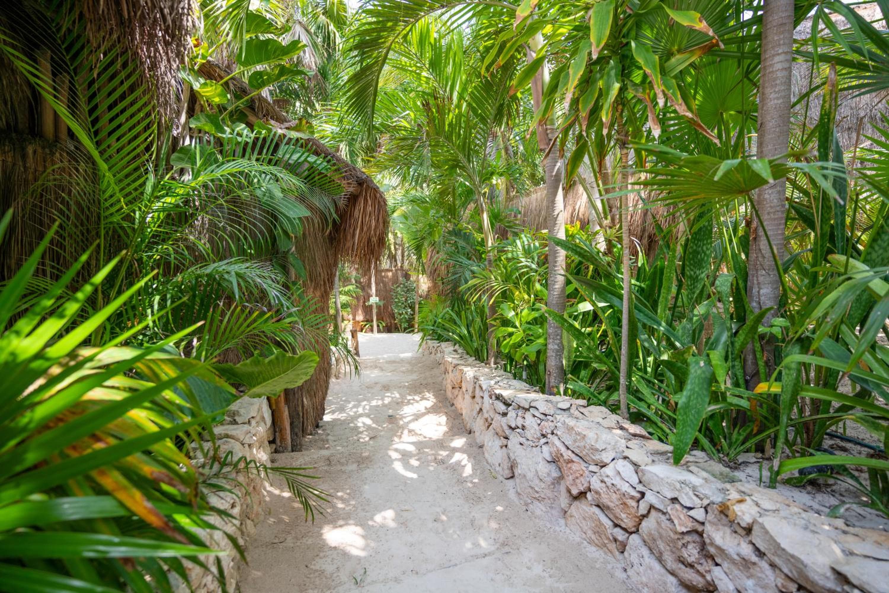 Ahau Beachfront Tulum Hotel — 21