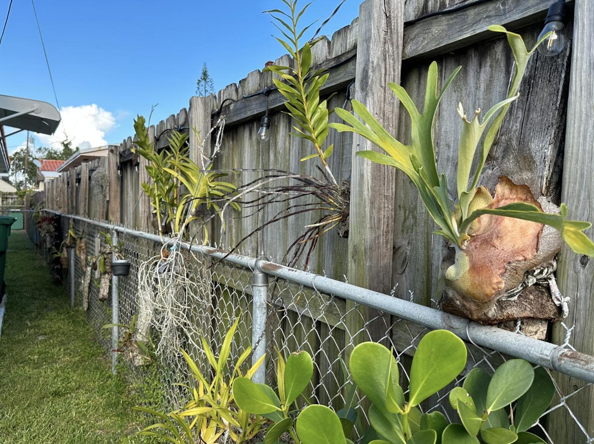 L'accogliente rifugio tropicale di Miami — 4